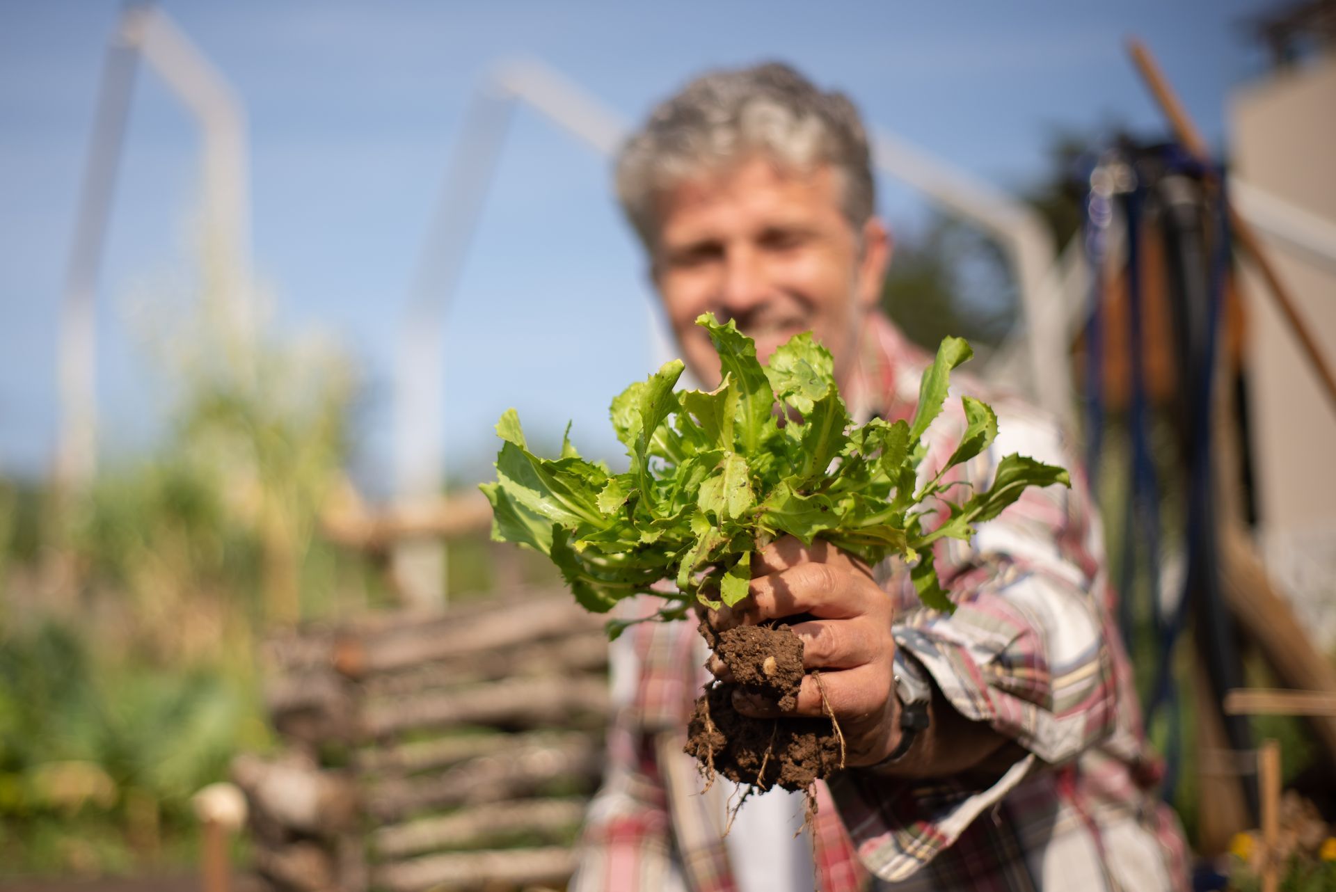 Why Spending Quality Life in Nature Matters by Sue Cartwright, Spiral Leaf
