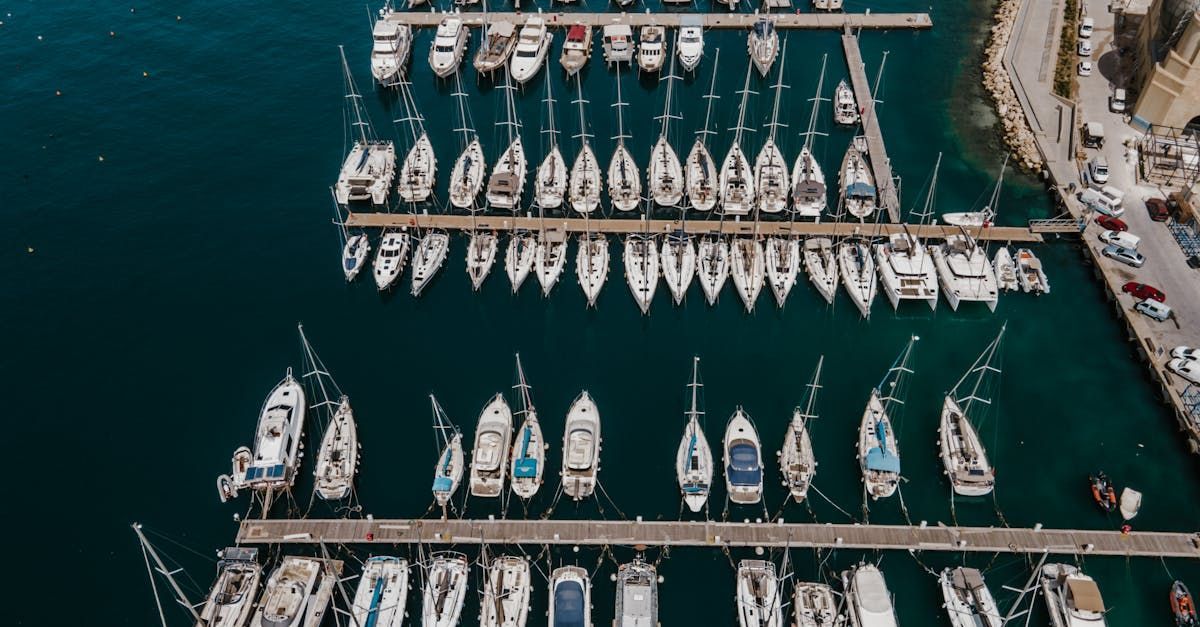 Boats are docked in a harbour.