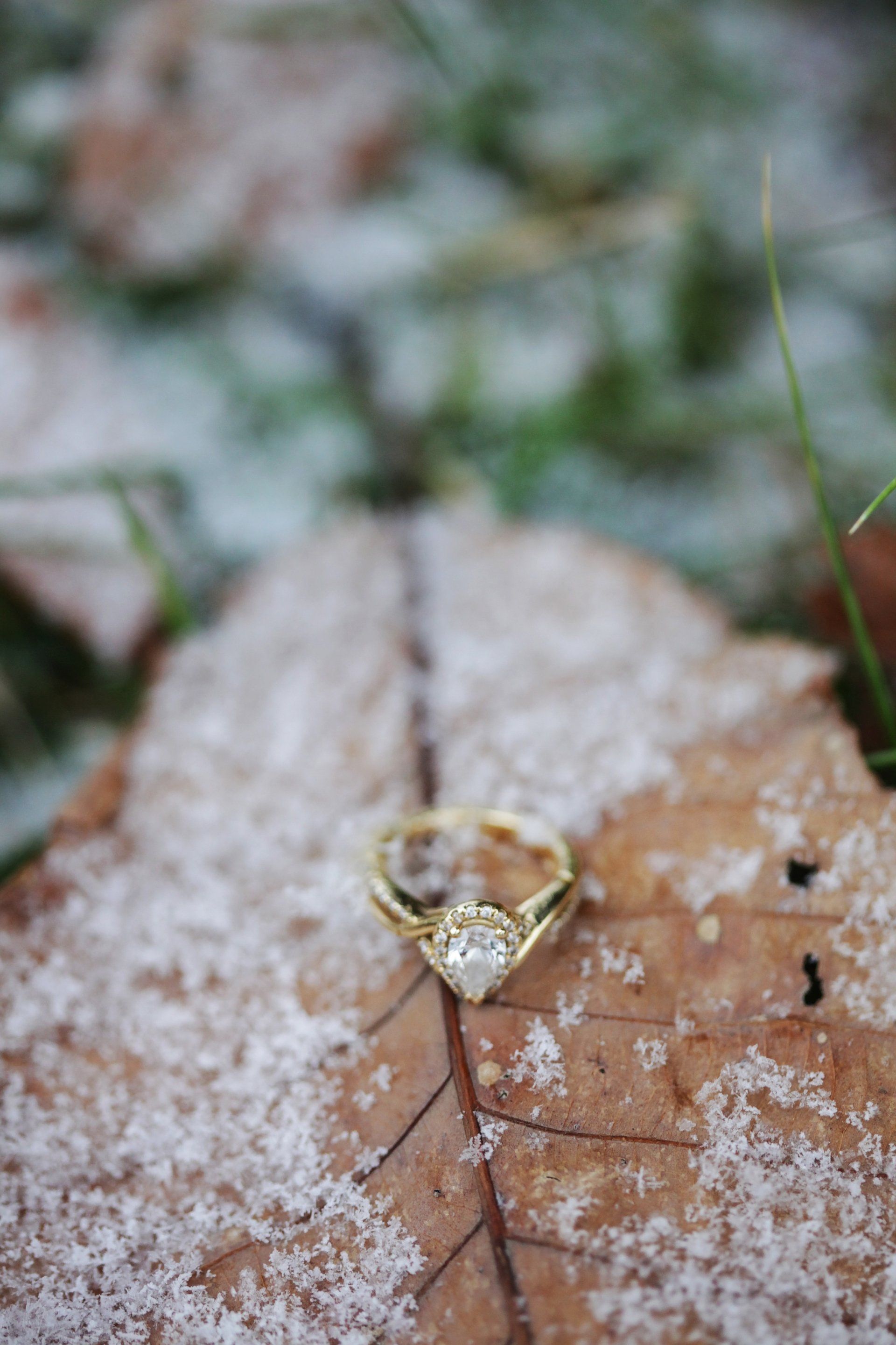 A gold ring is sitting on top of a leaf covered in snow.
