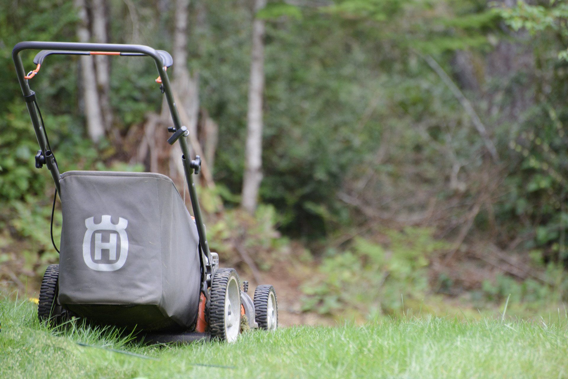 lawn mower with catcher bag