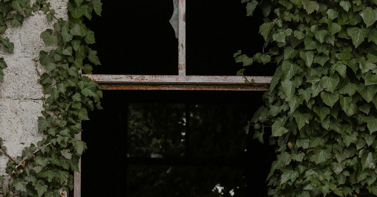 Photo of old window