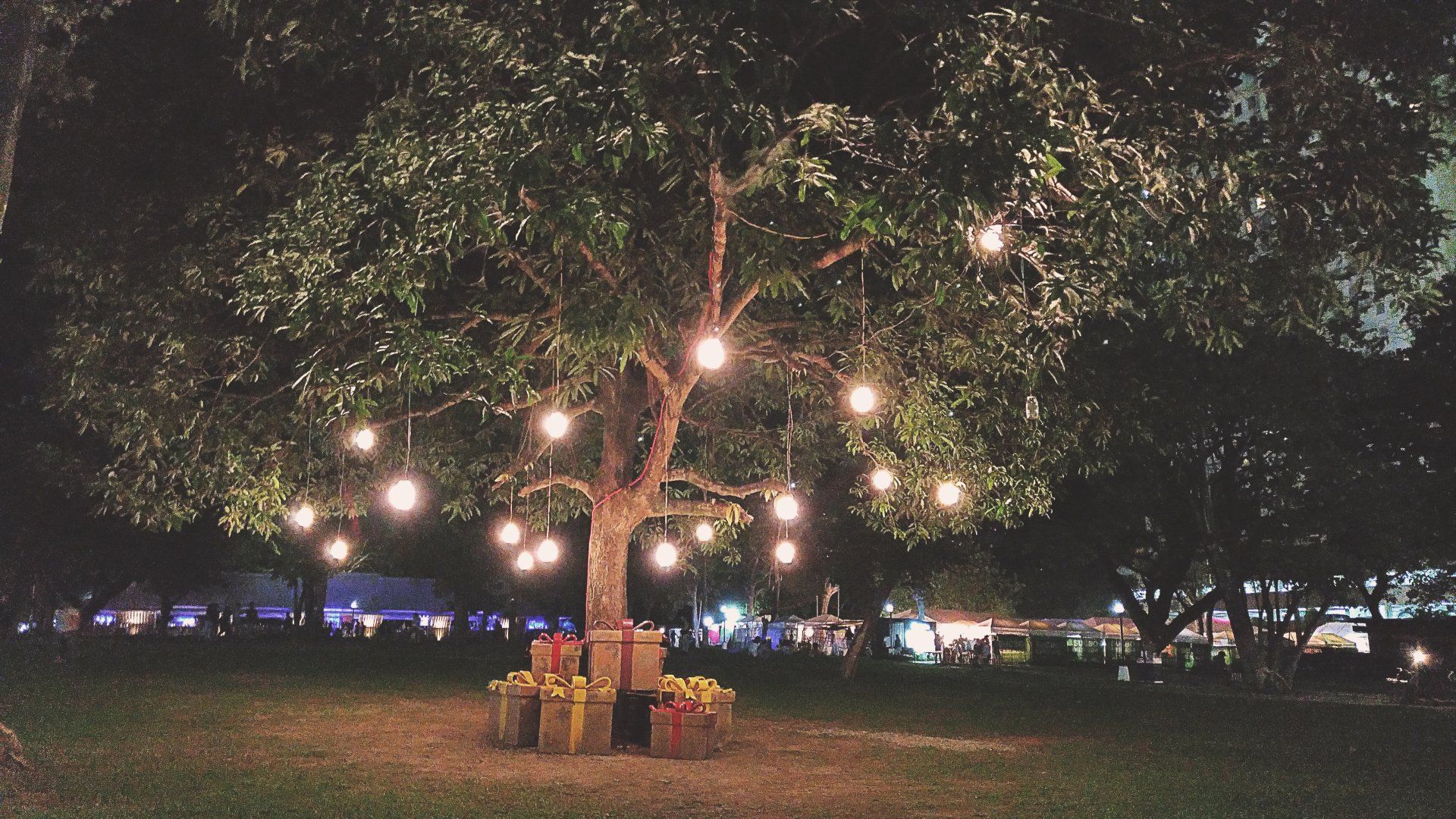 Outdoor lighting in Round Rock TX