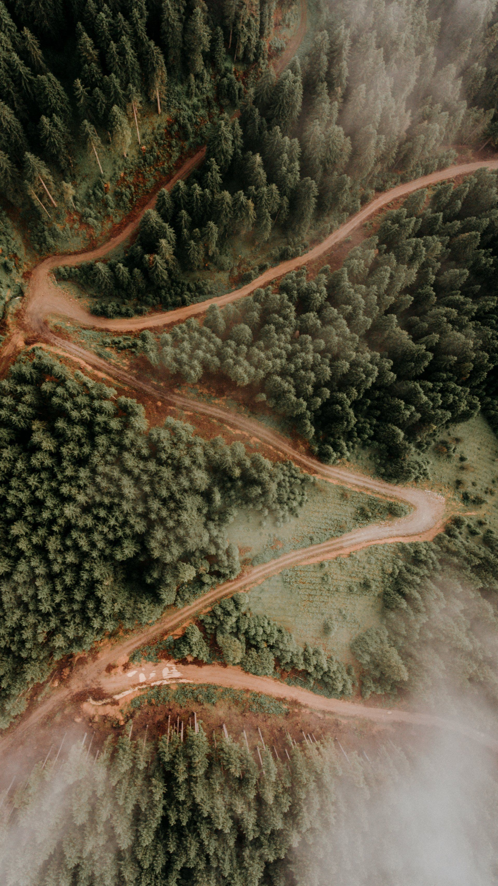 aerial view of a piece of land with trees