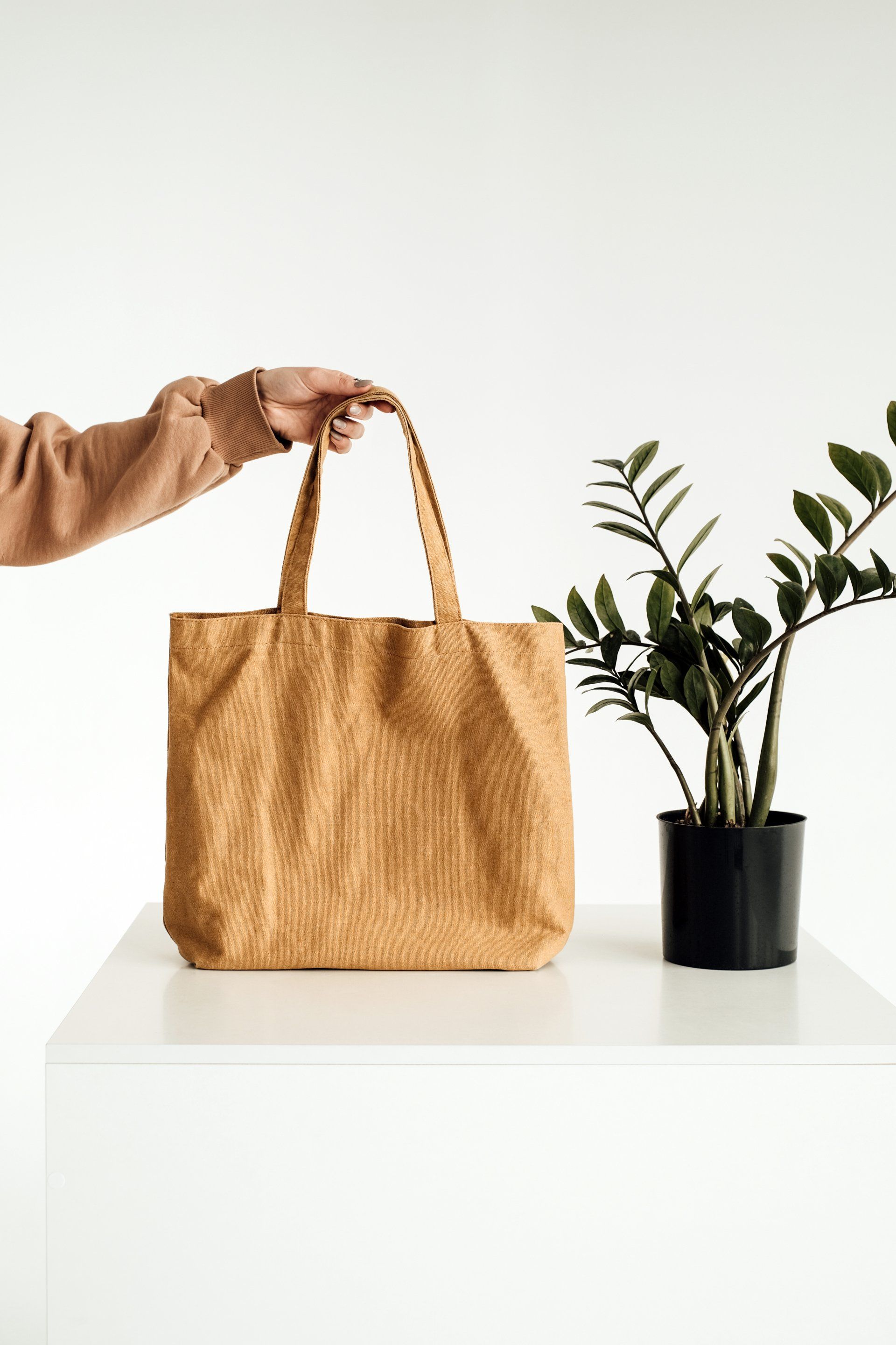 blank canvas tote bag