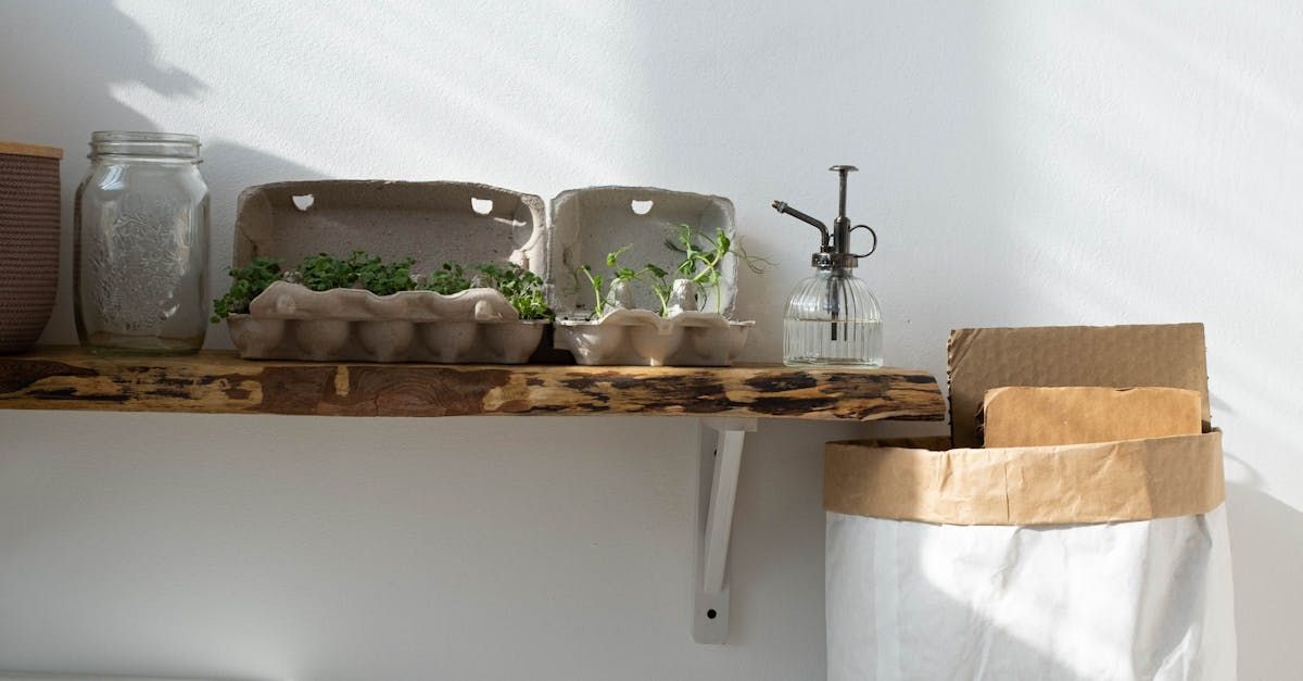 A wooden shelf with plants , jars , and a bag on it.