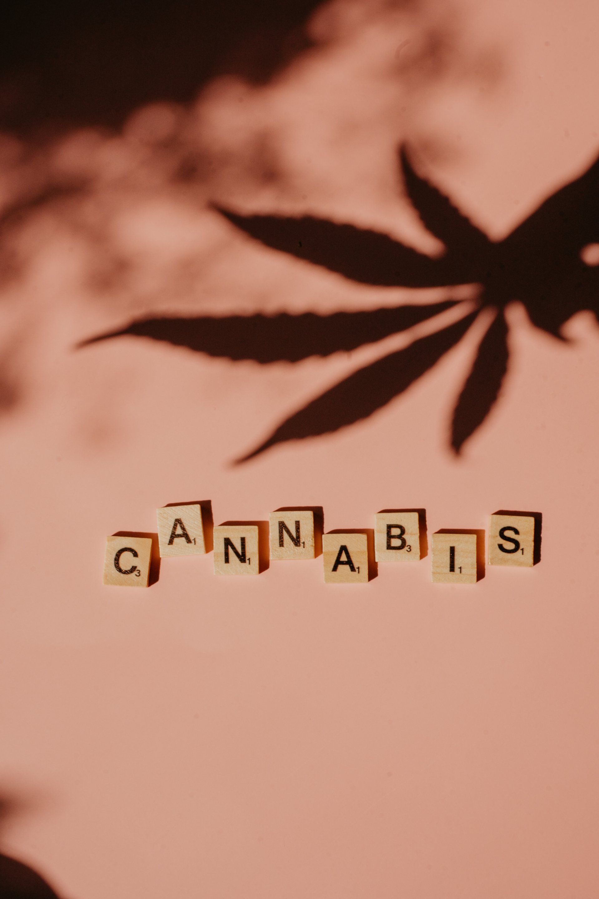 Cannabis Leaf Shadow