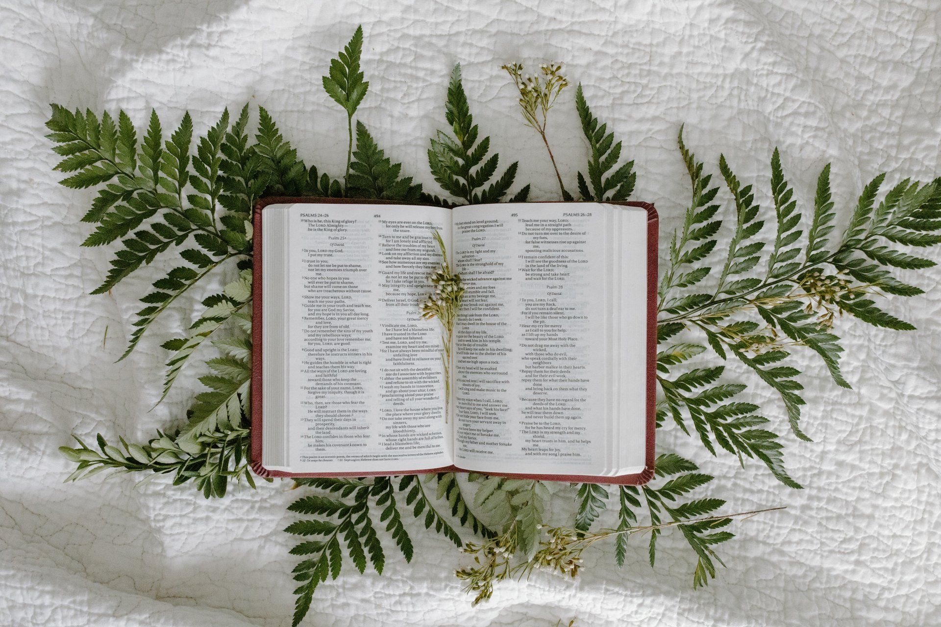 Open Bible on branch