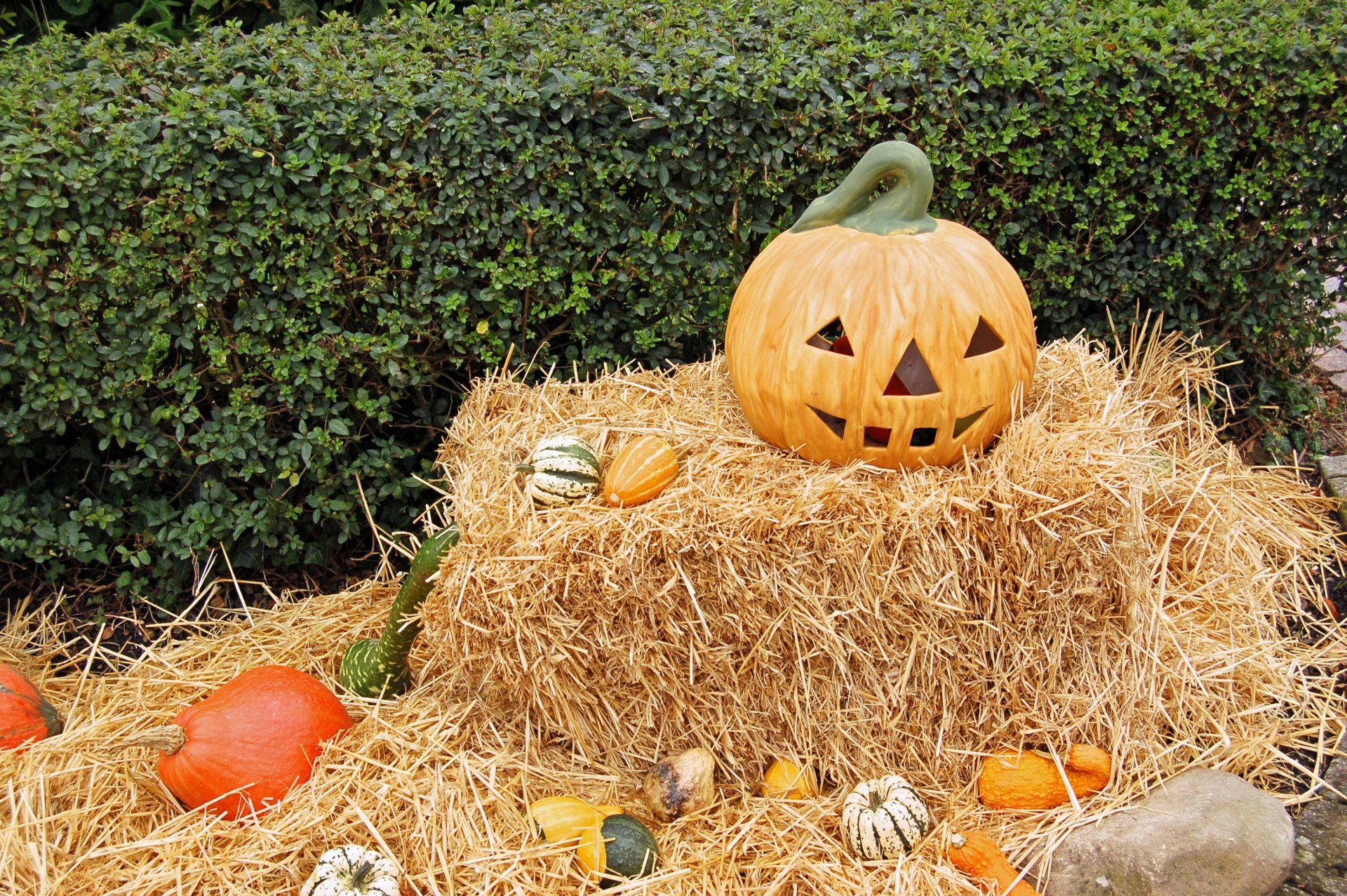carved pumpkin sitting on hay
