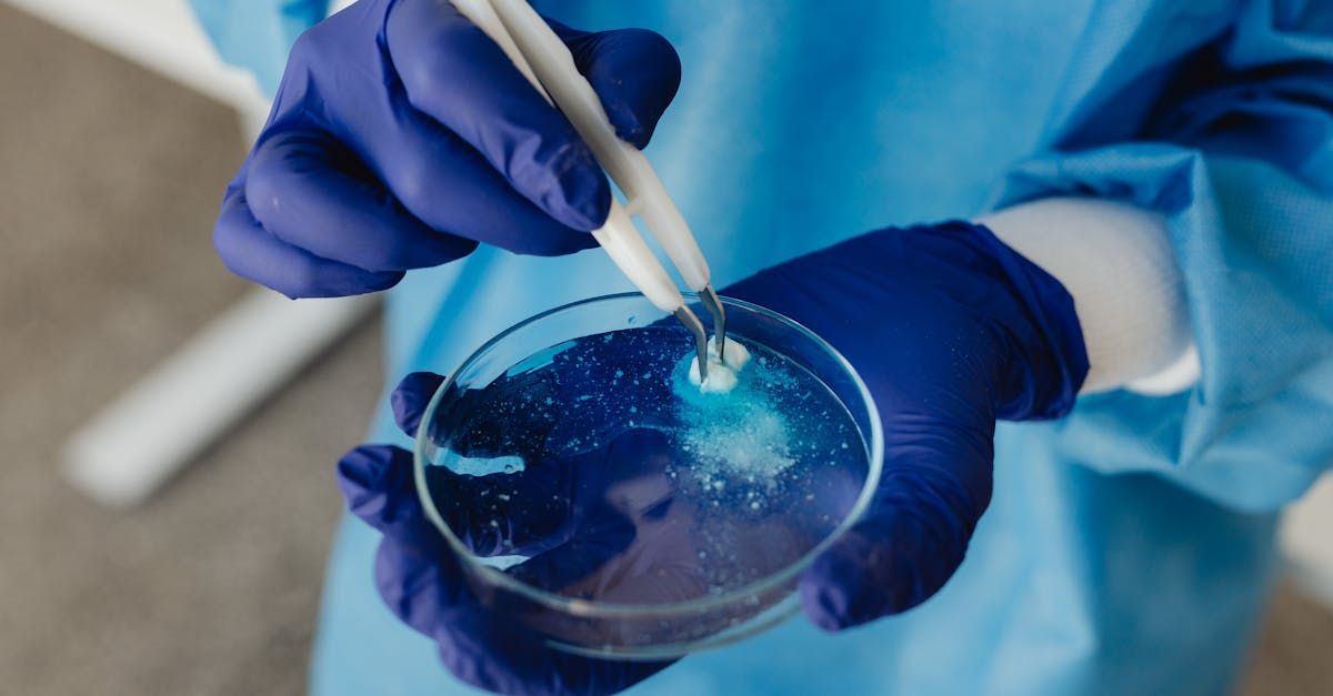 A person wearing blue gloves is holding a petri dish with a pipette in it.