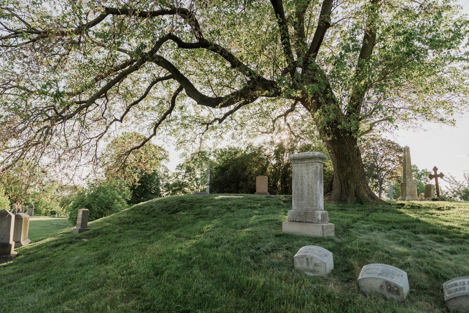 A cemetery with a tree and graves on a hill.