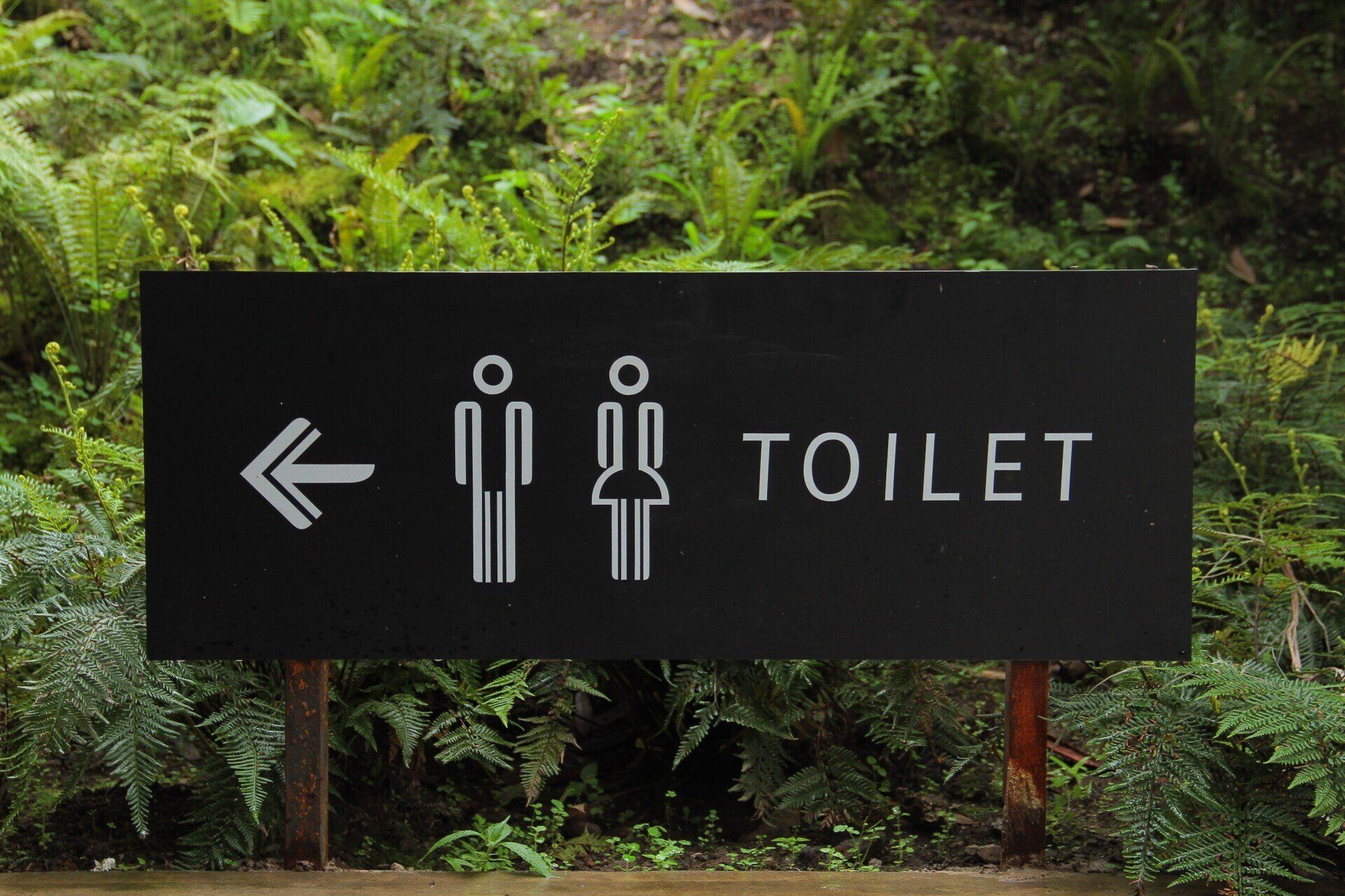 A black sign pointing to a toilet in the woods.