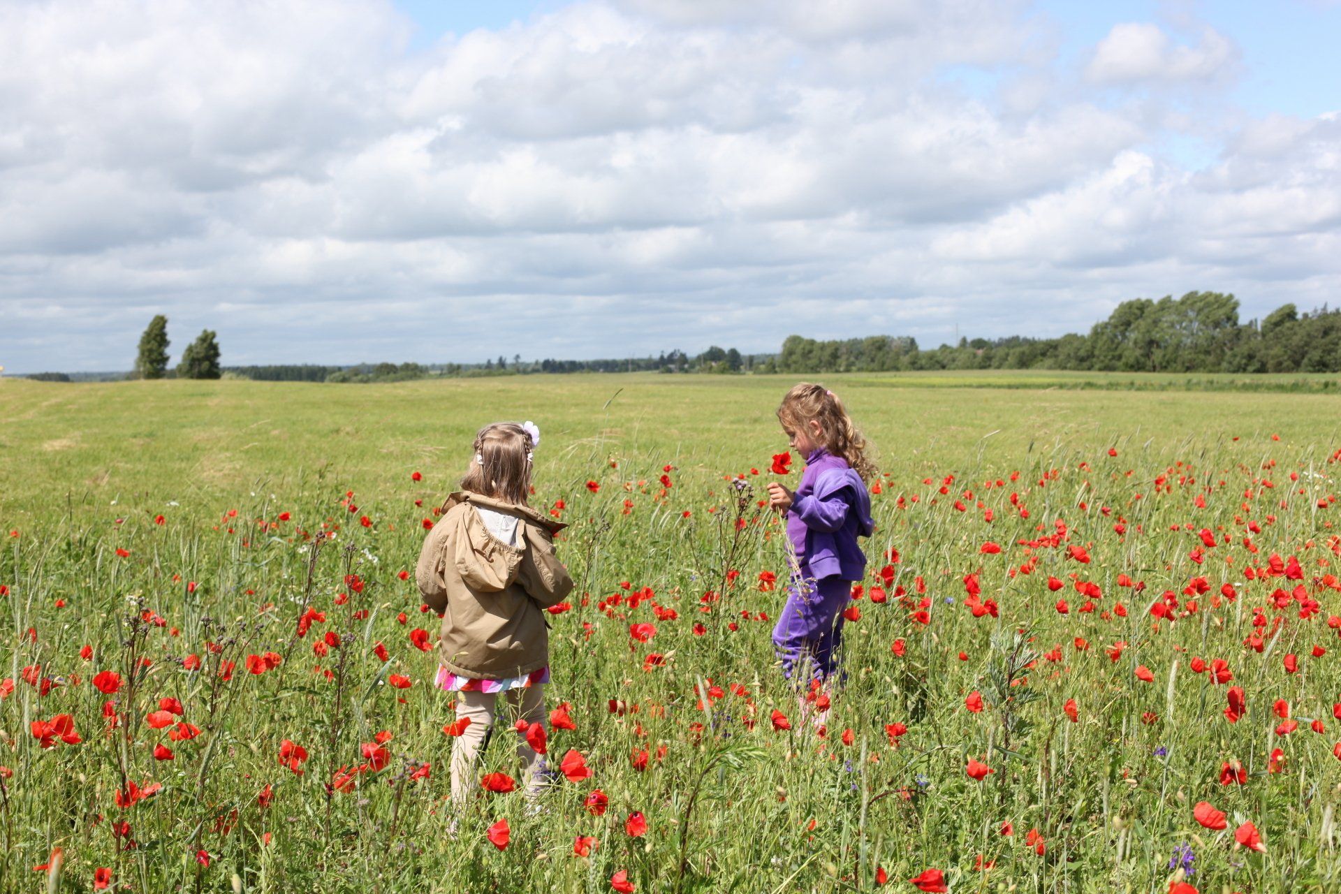 קורסים הנפתחים במרץ 2026