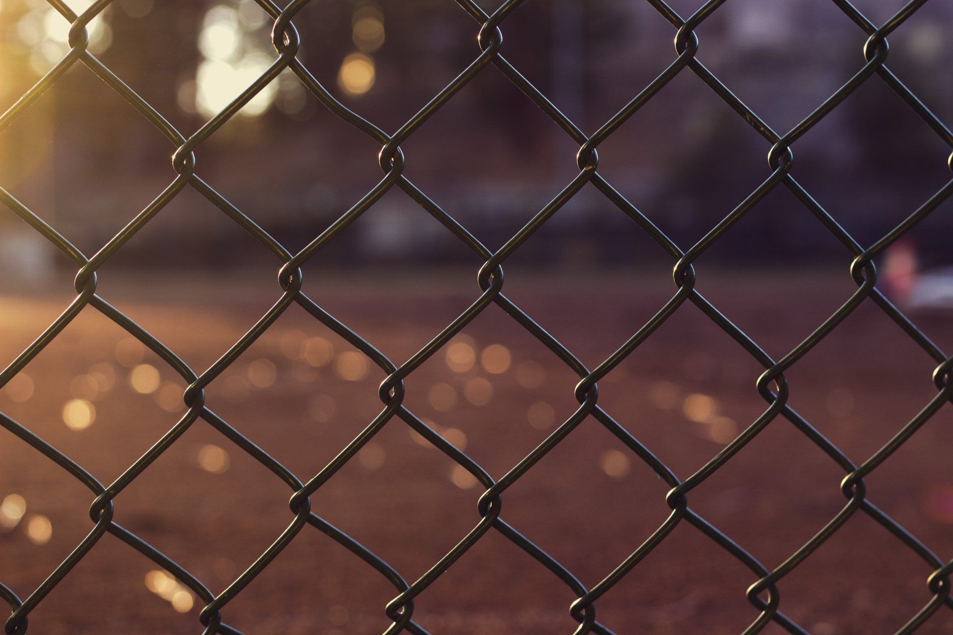 chain link fence at dawn