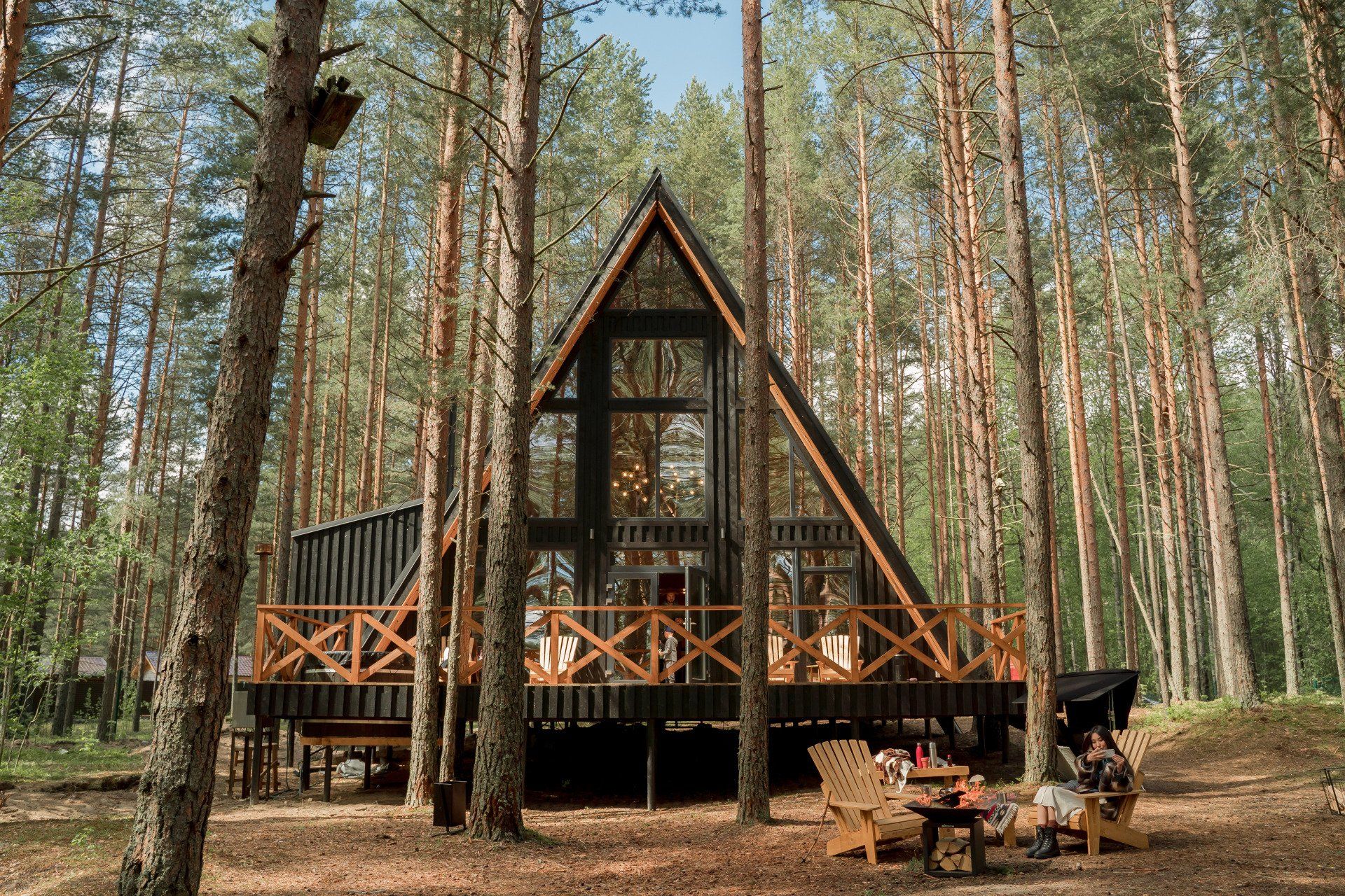 Cabin in Woods