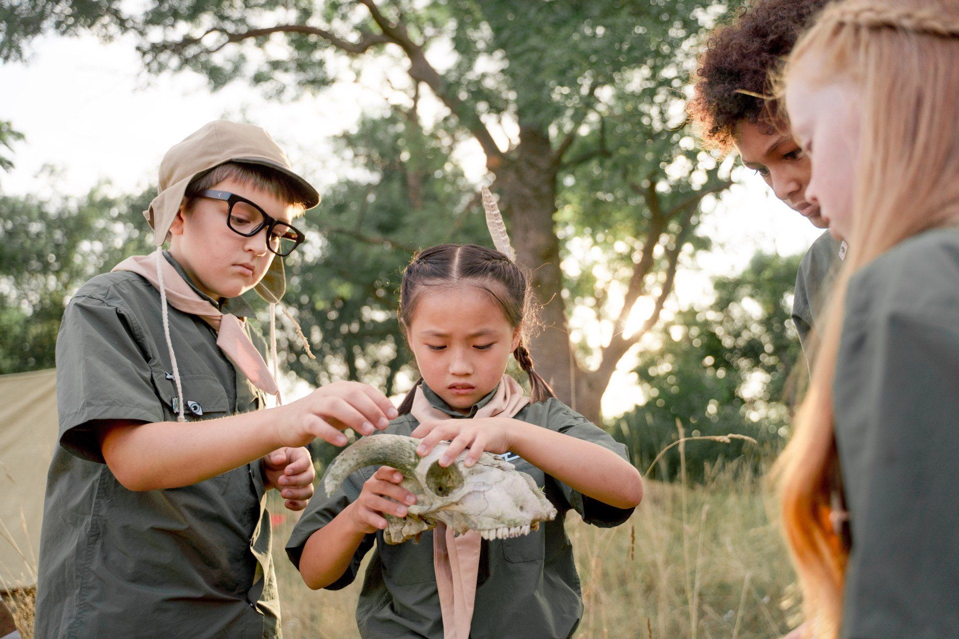 A group of children are looking at a skull in a field.