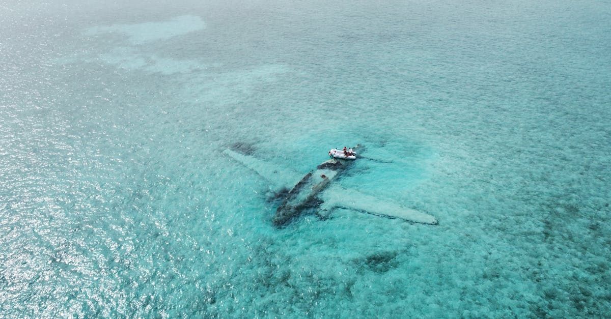 An airplane is floating on top of a body of water.