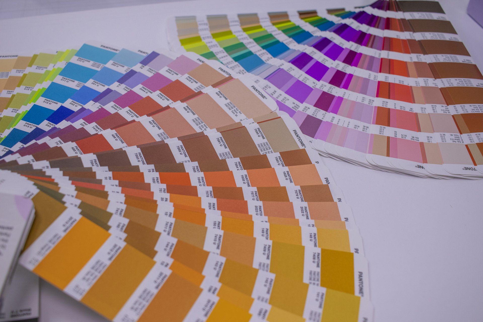 colour psychology for interior design