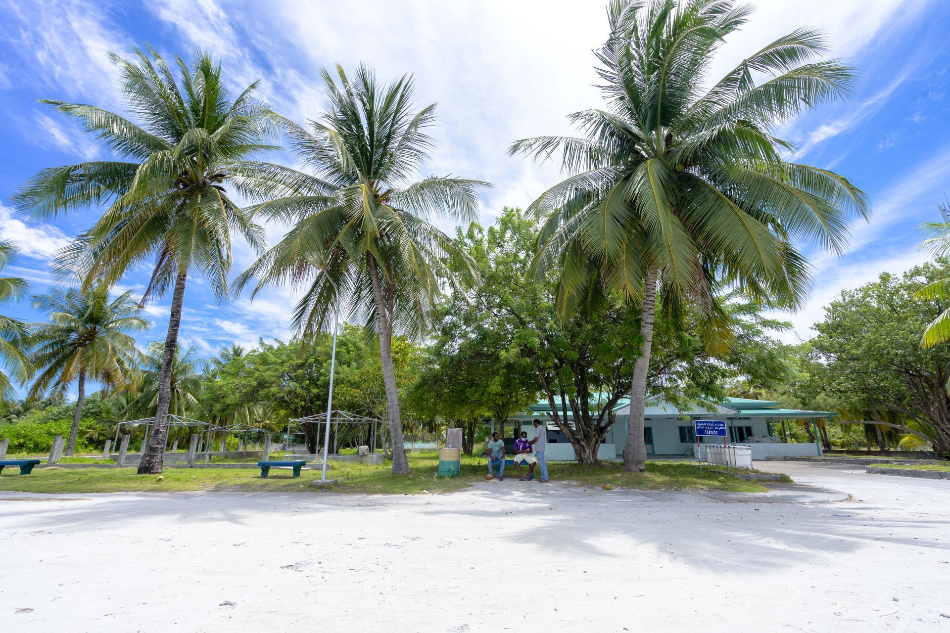 A house is surrounded by palm trees on a tropical island.