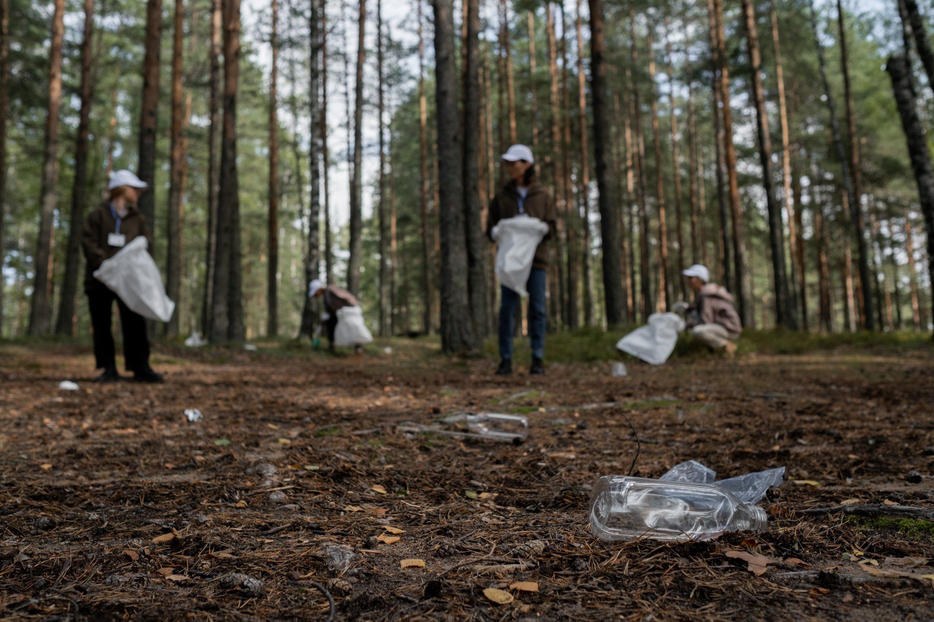 A group of people are picking up trash in the woods.