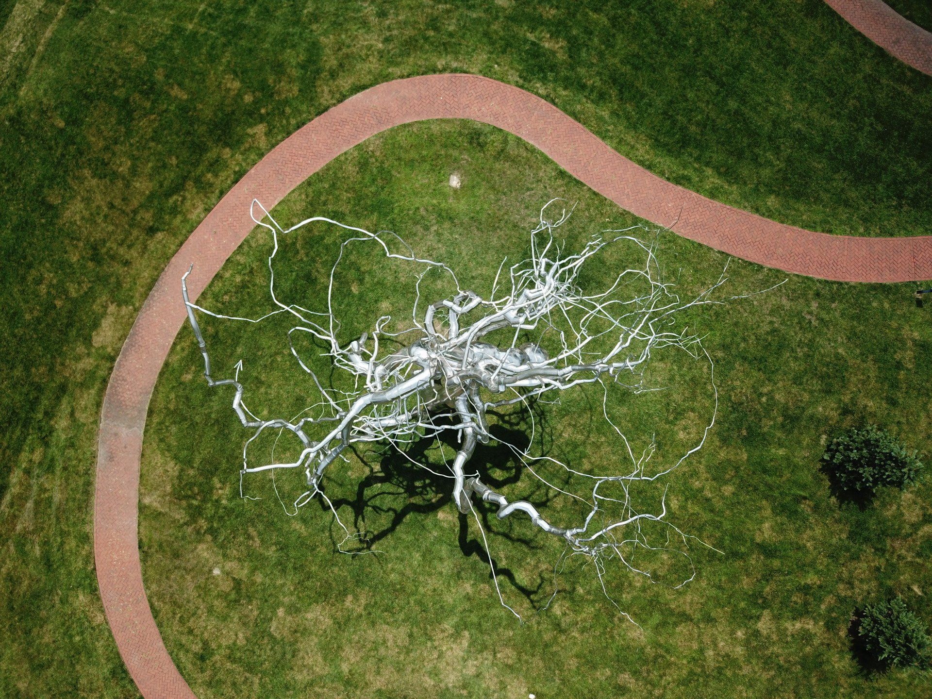 An aerial view of a tree in a park with a red path.