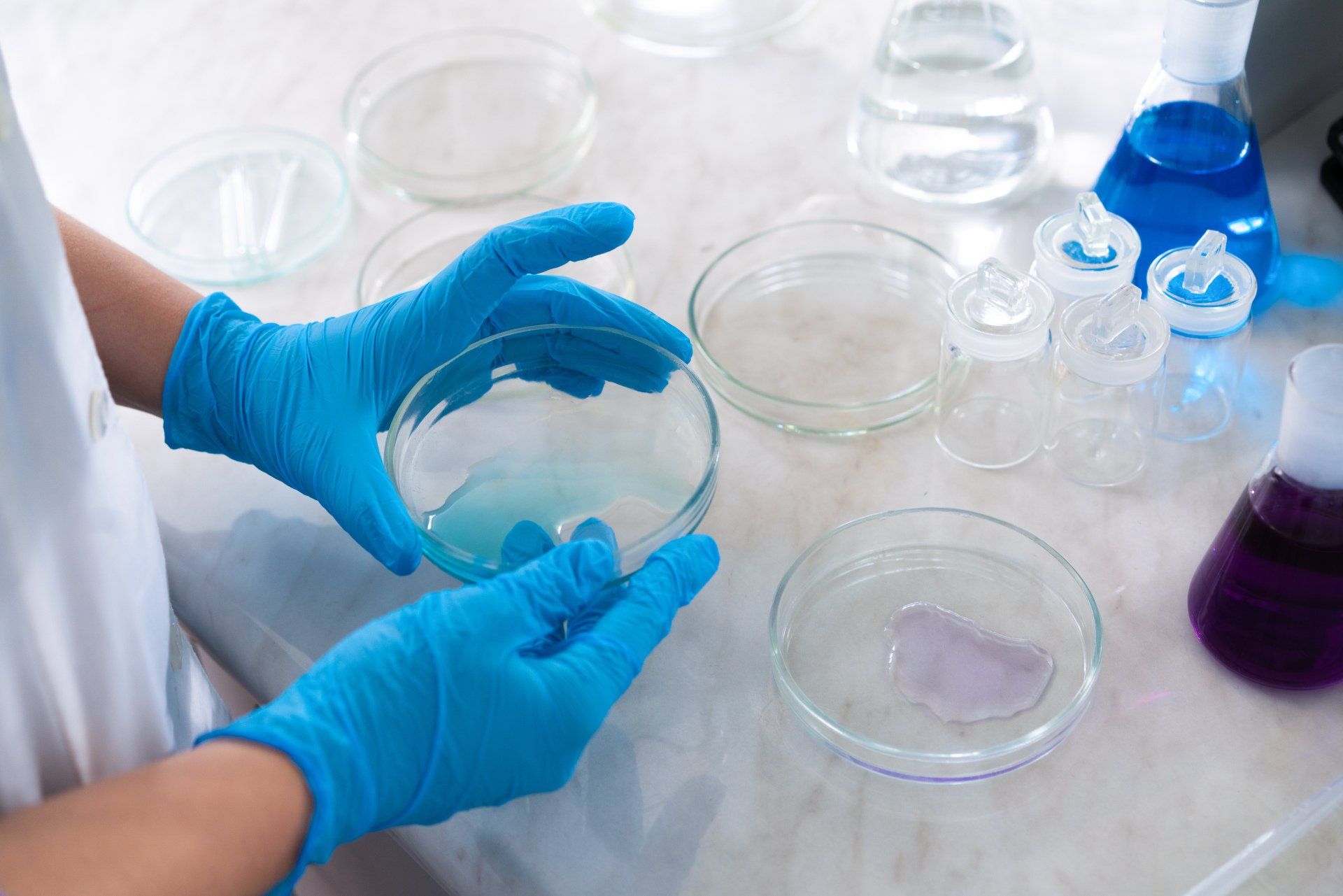 A person wearing blue gloves is holding a petri dish in a laboratory.