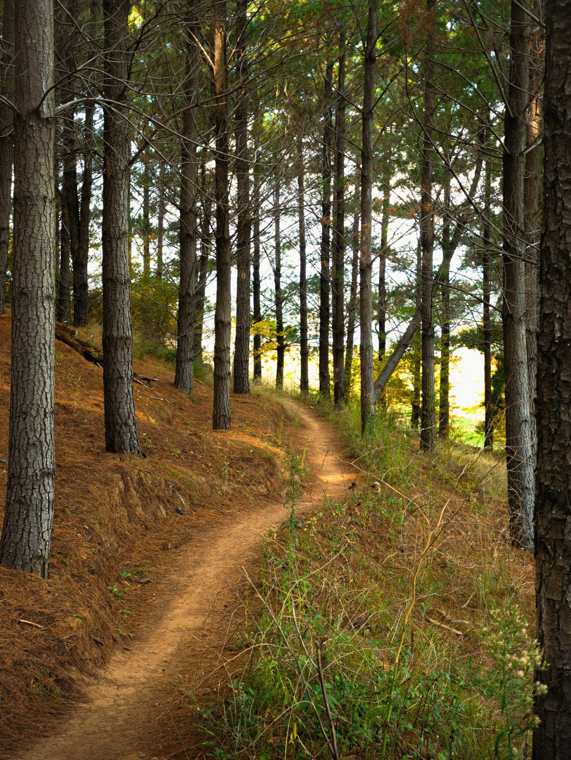 Actieve vakantie | Natuur
