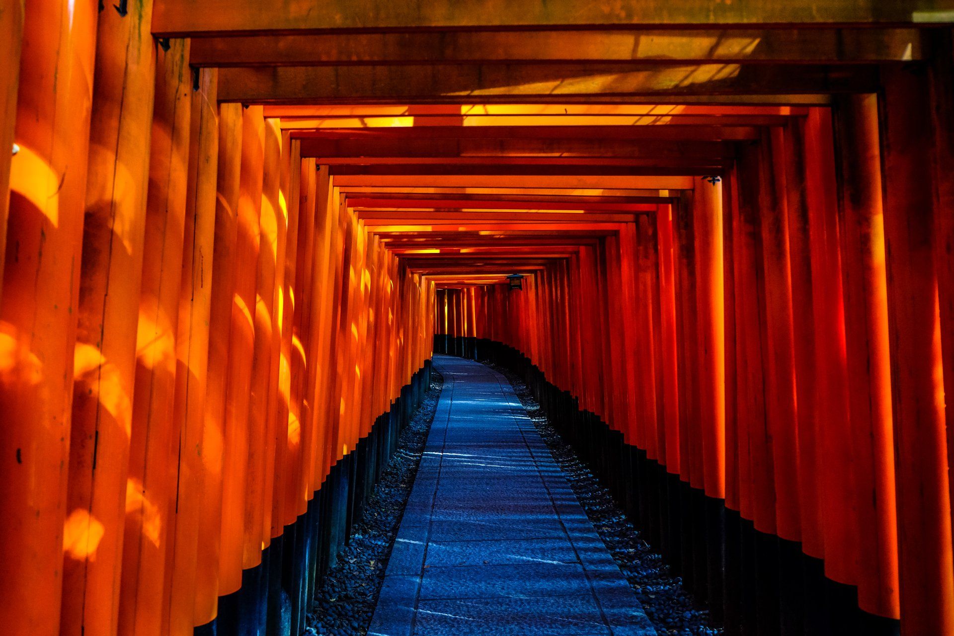 A tunnel of red torii gates leading to a blue path.