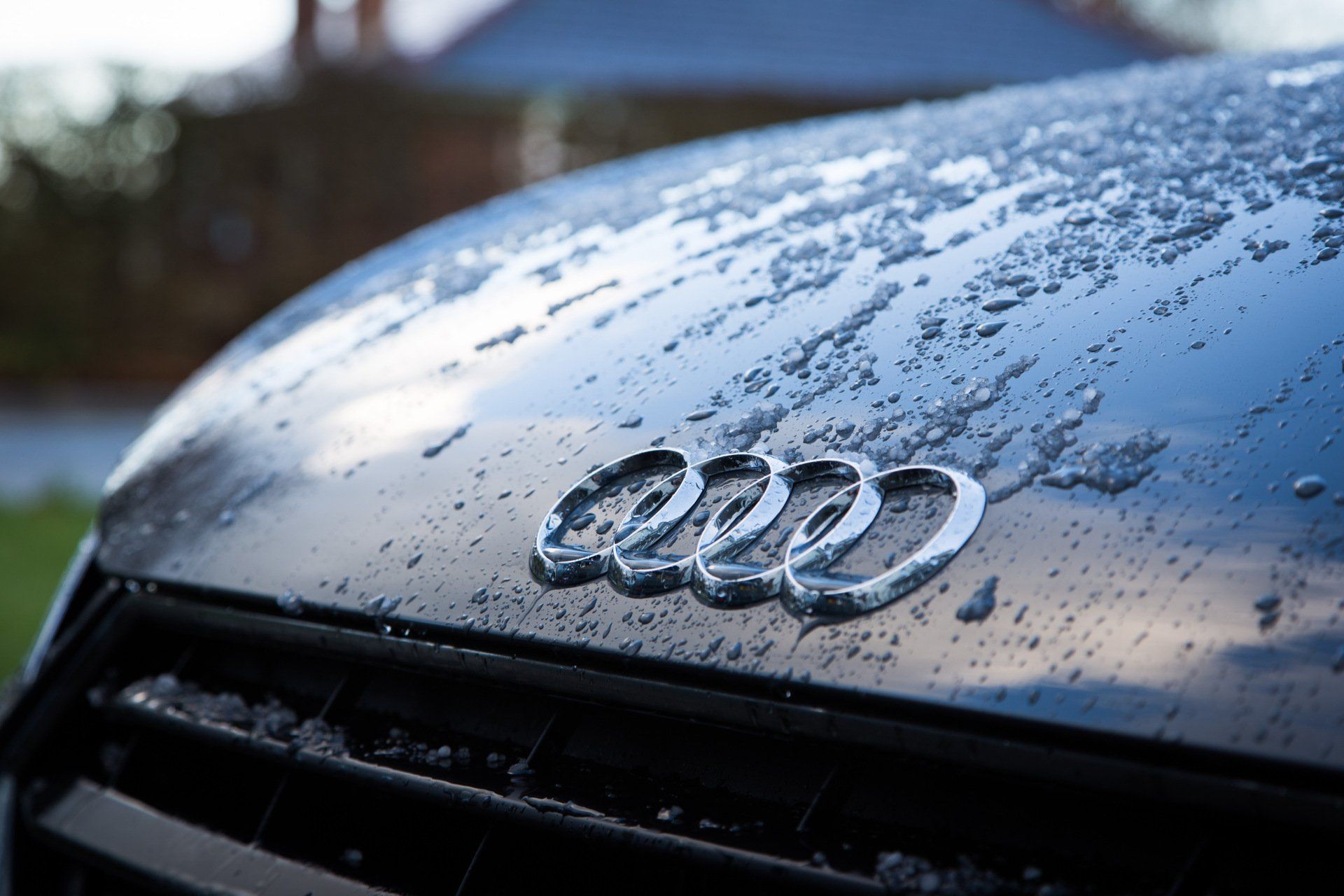 A close up of the hood of an audi car with water drops on it.