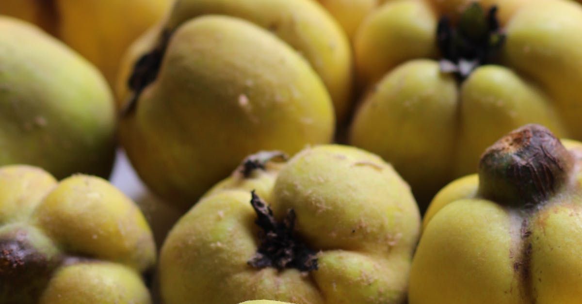 Quitten Biolandhof Hauser Schlat