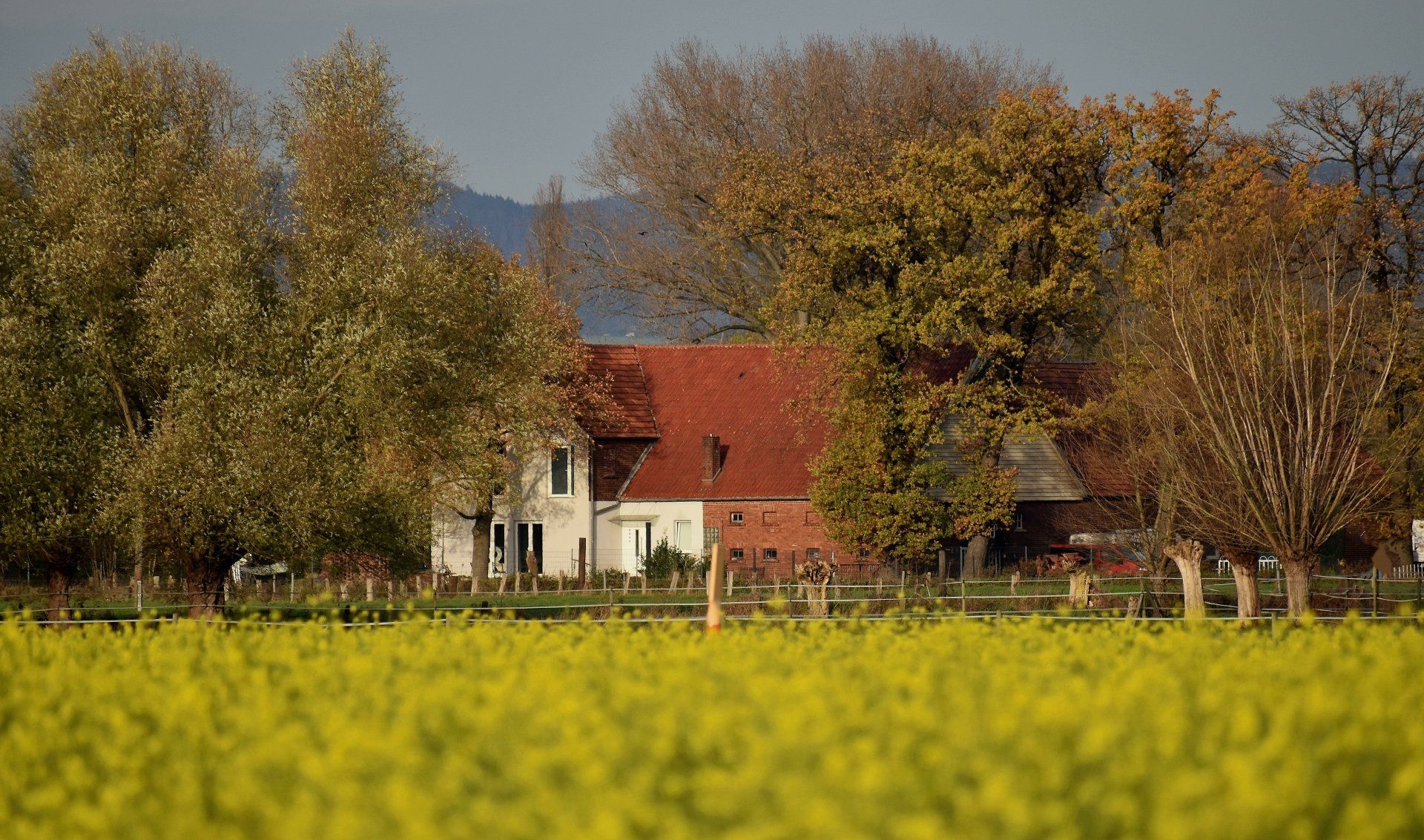 A house with a red roof is surrounded by trees and a field of yellow flowers.