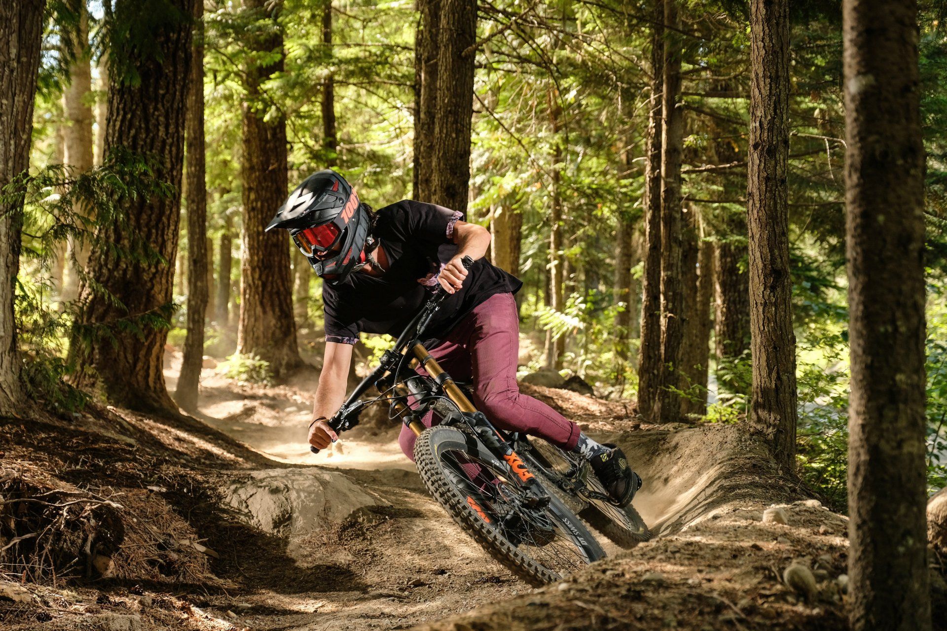 An image of a BMX in the forest