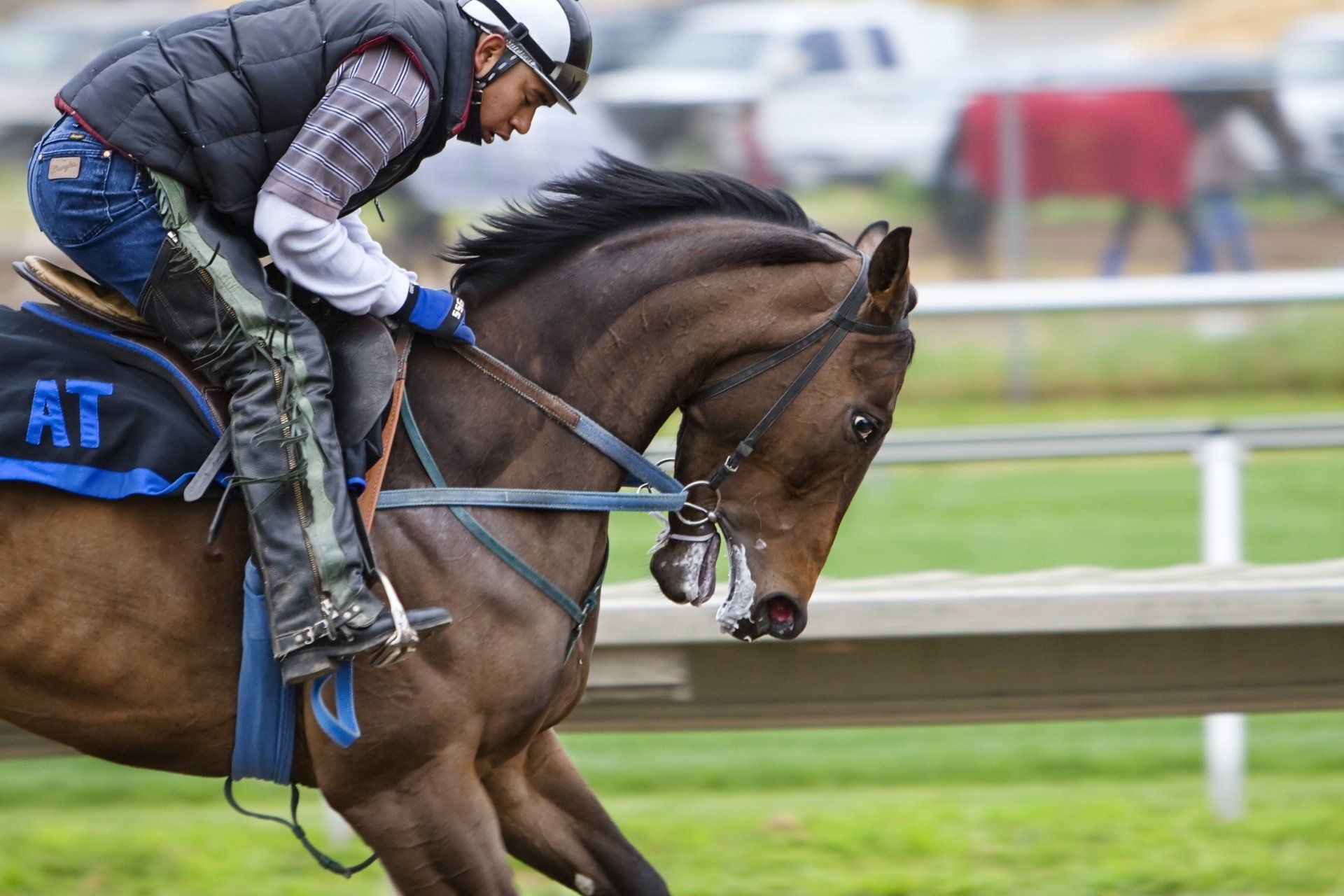 A man is riding a brown horse on a track.