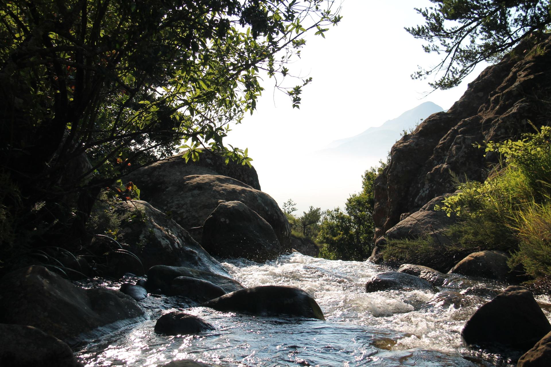 stream flowing over rocks 