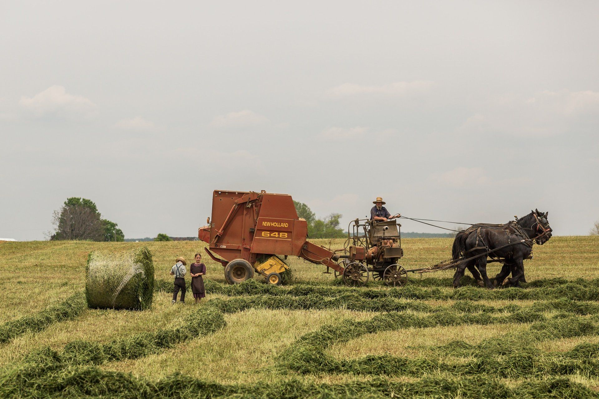 A man is baling hay in a field with horses.