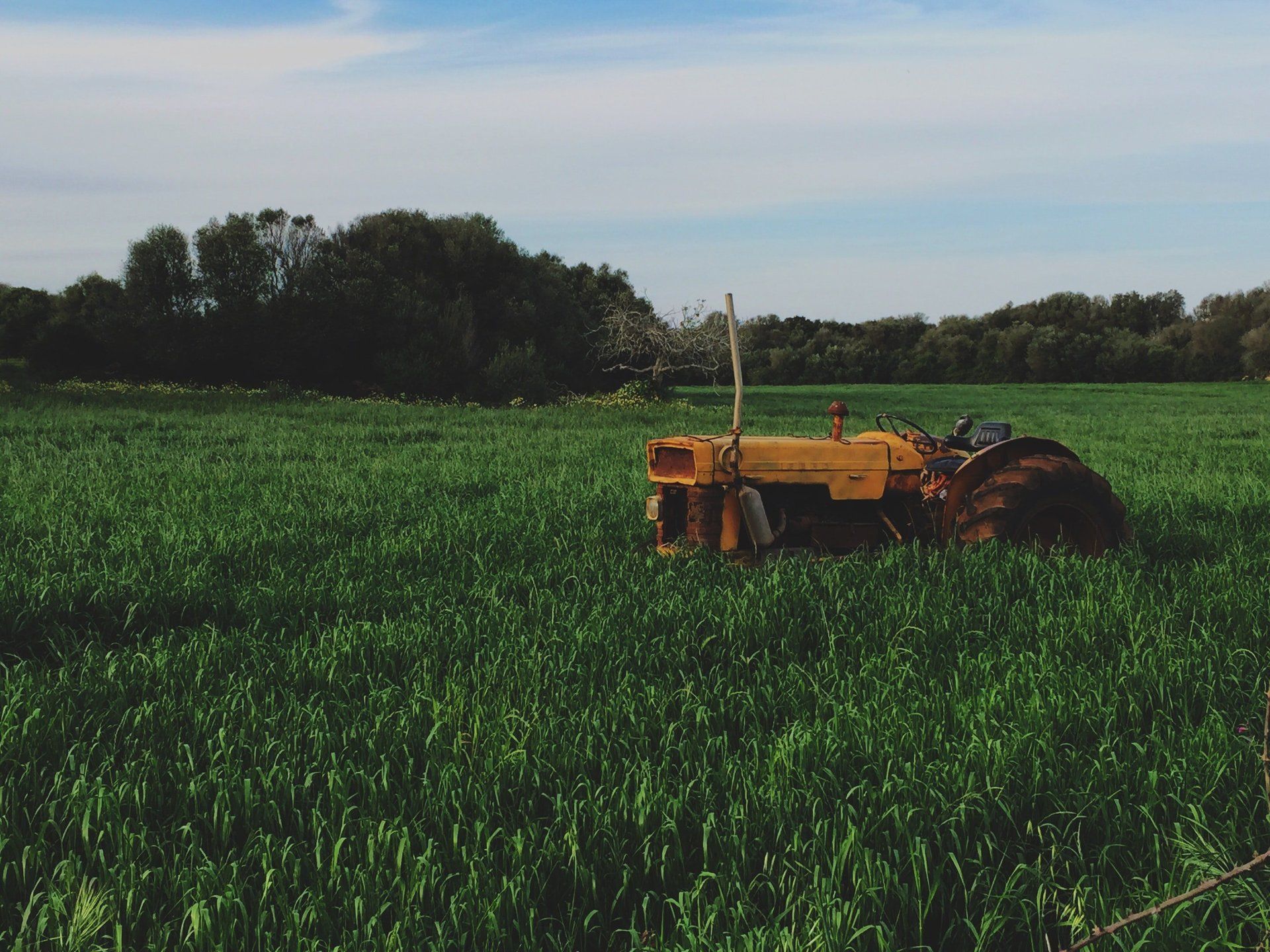 Azienda agricola come una volta