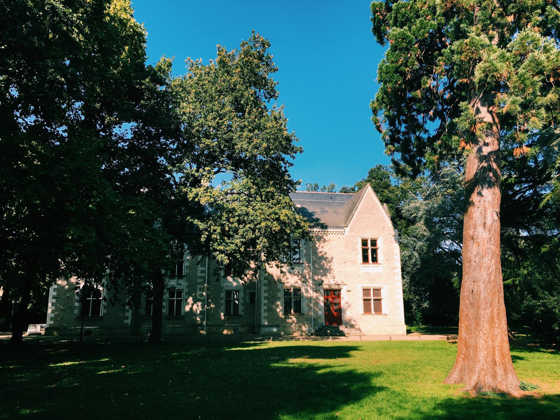 tree service maplewood mn