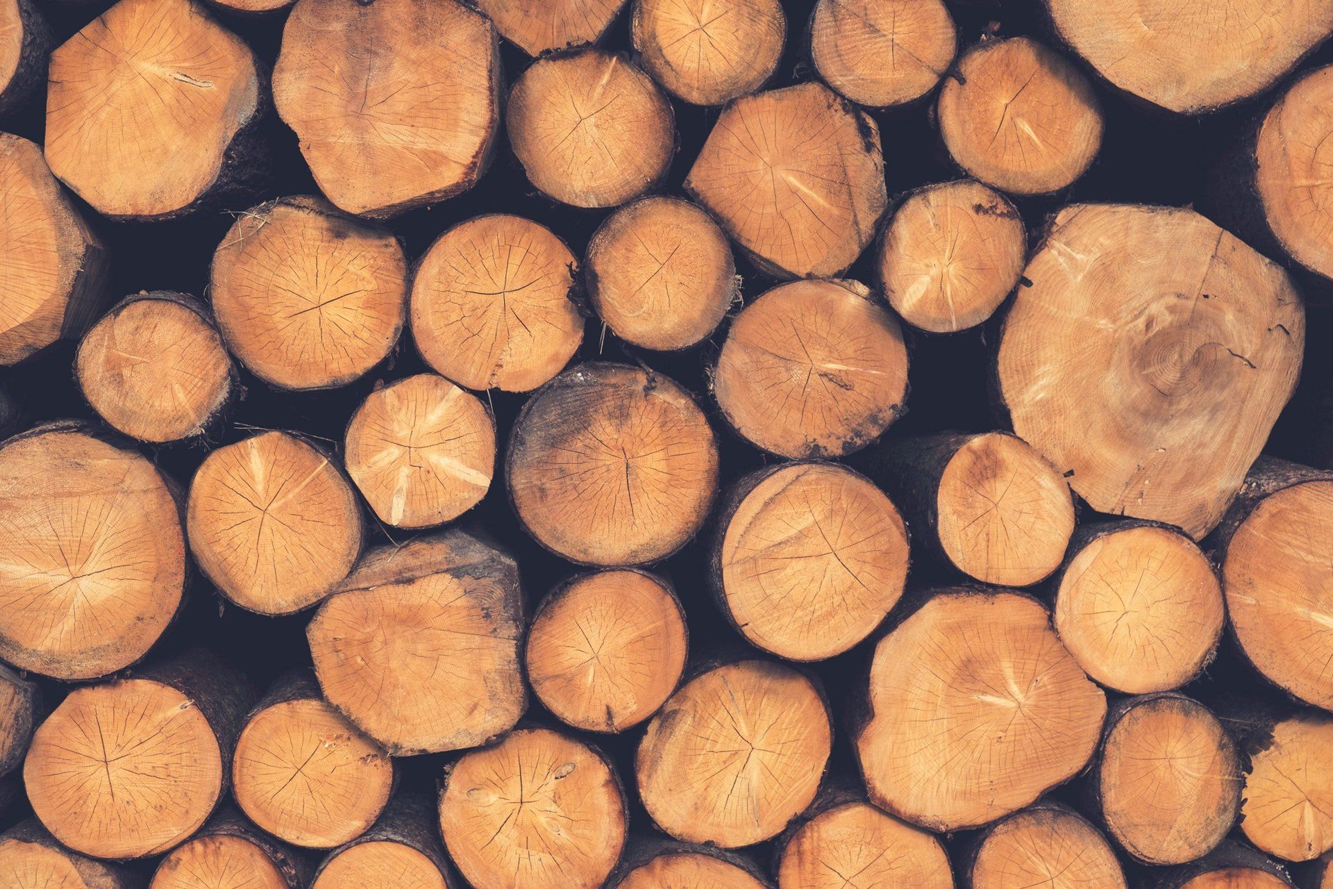 which wood to use in your wood heater