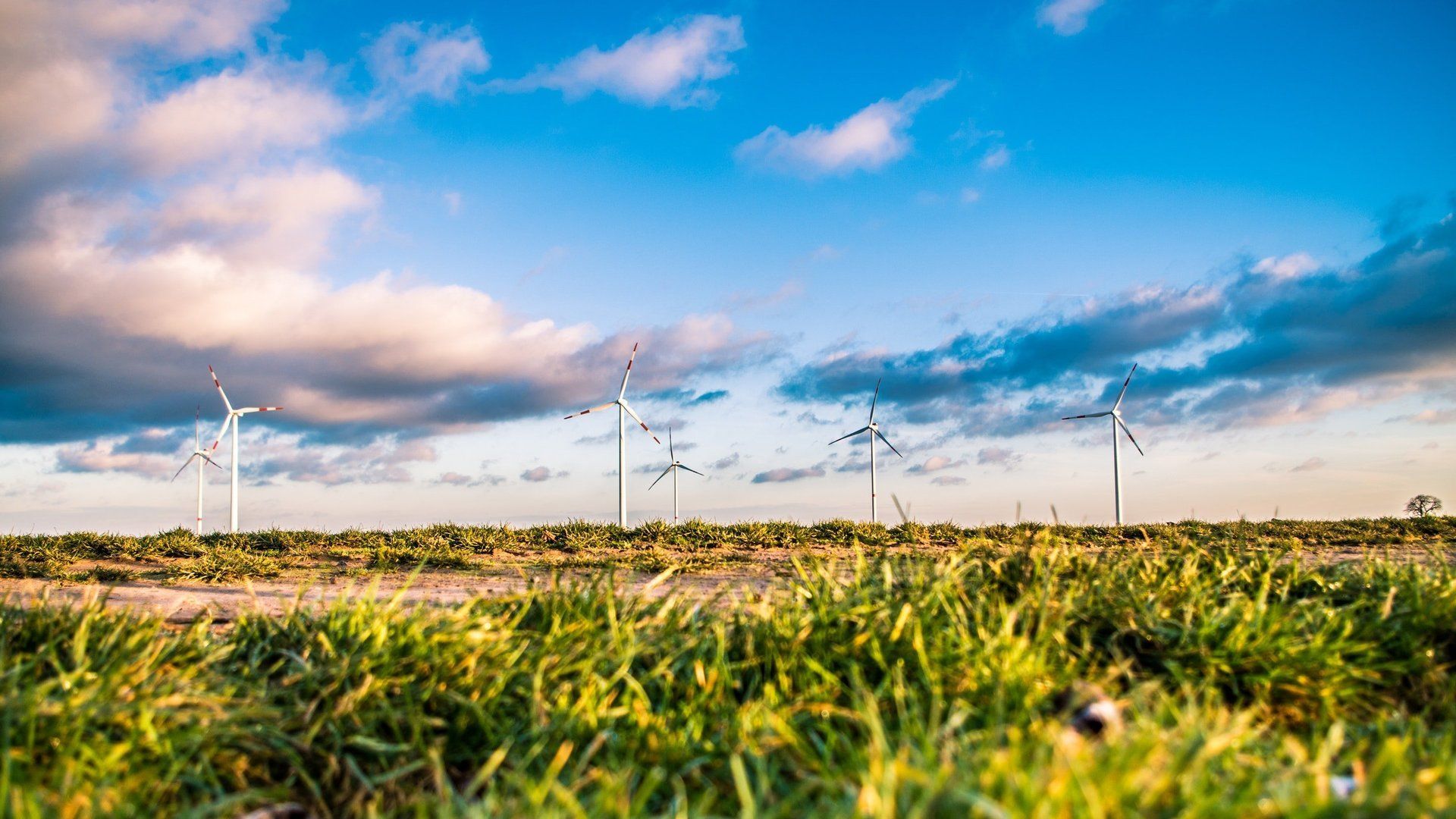 a row of wind turbines in a grassy field