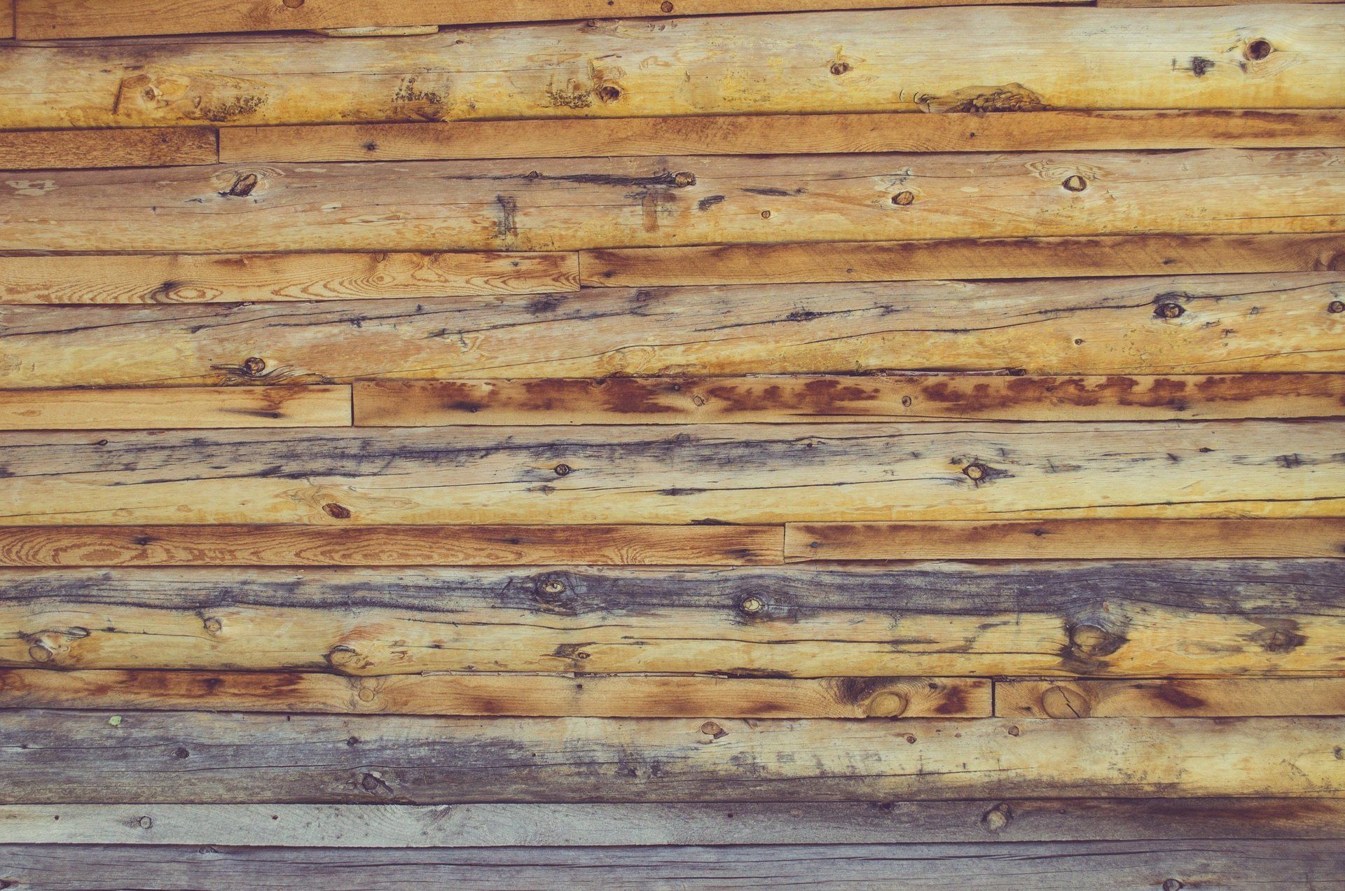 cedar fence