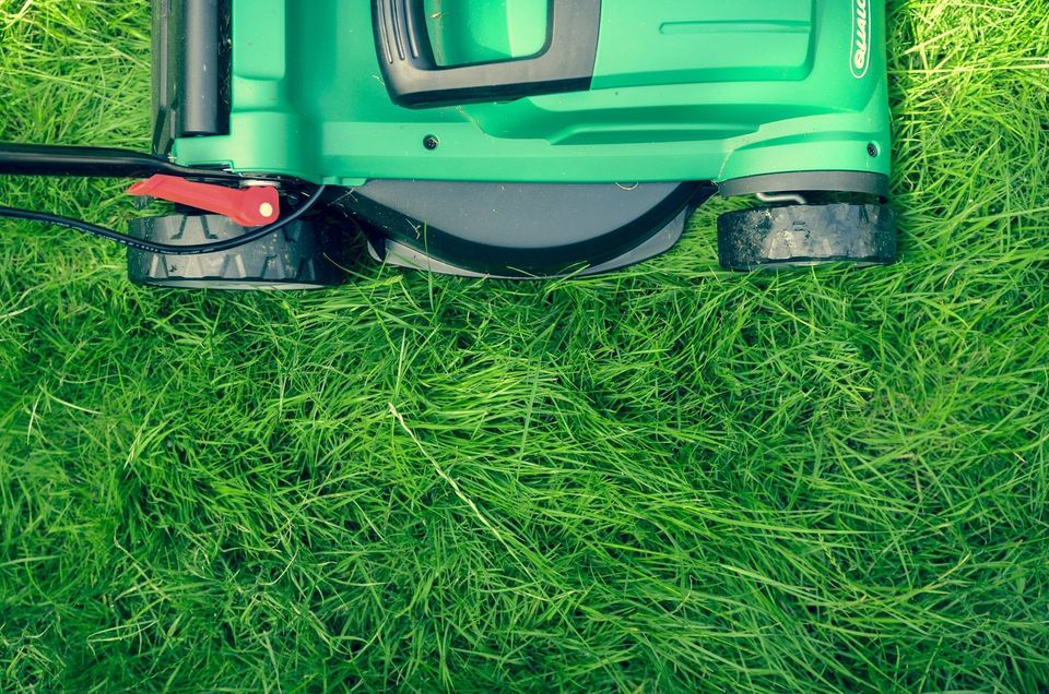 Advice and tips to keep your lawn in peak condition