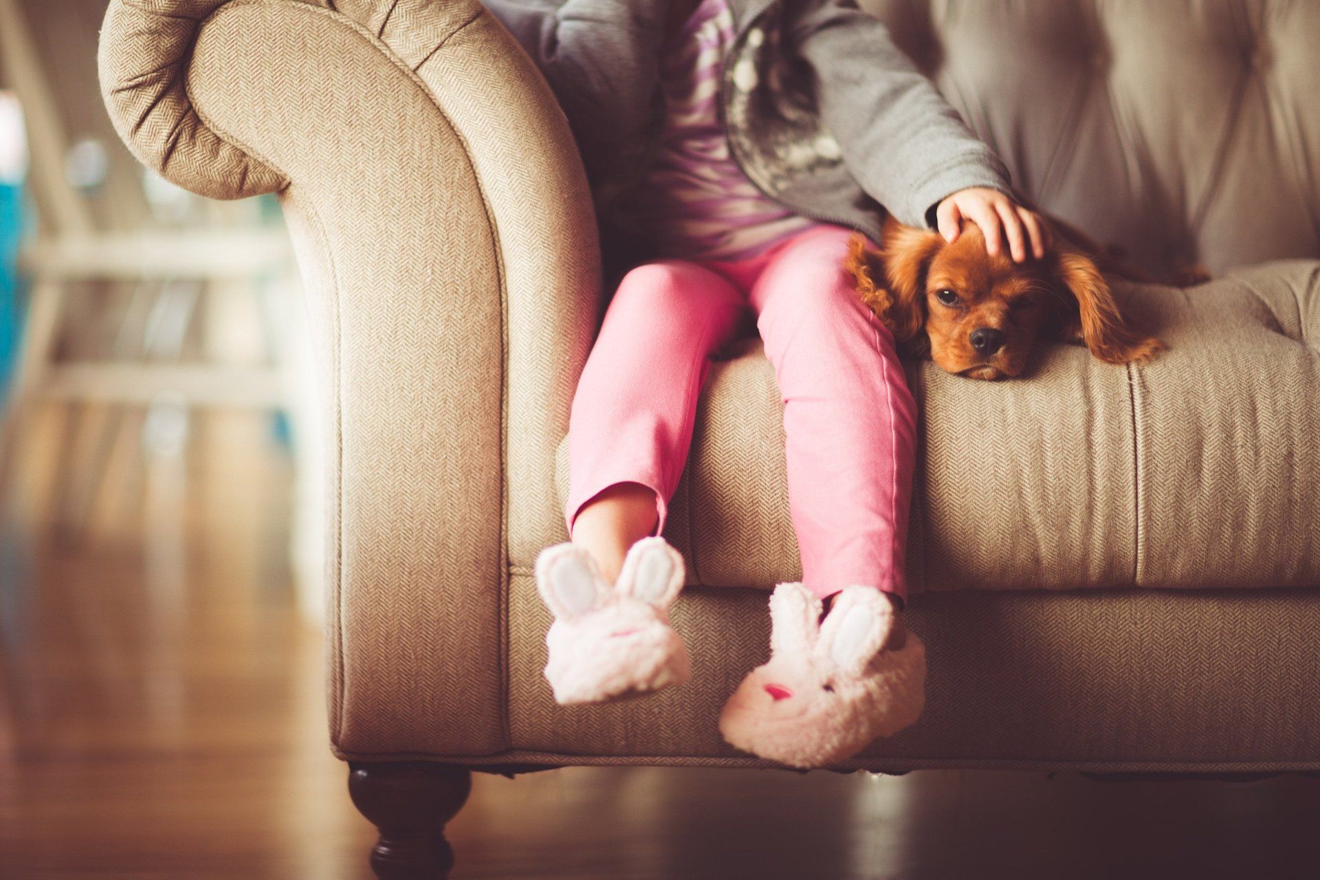 medearis child custody attorney