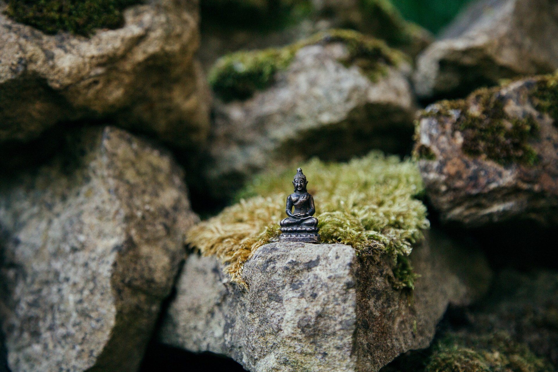 Get Involved: Rocks covered in moss with a small black statue