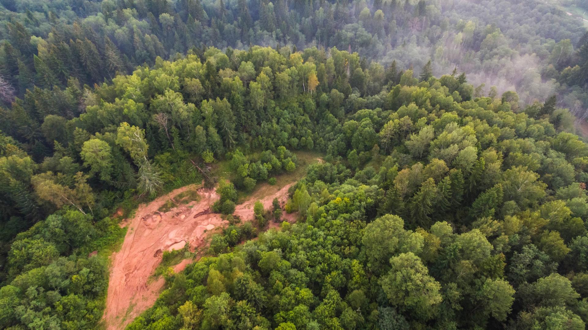 Land clearing in Harrisonburg VA seen from above