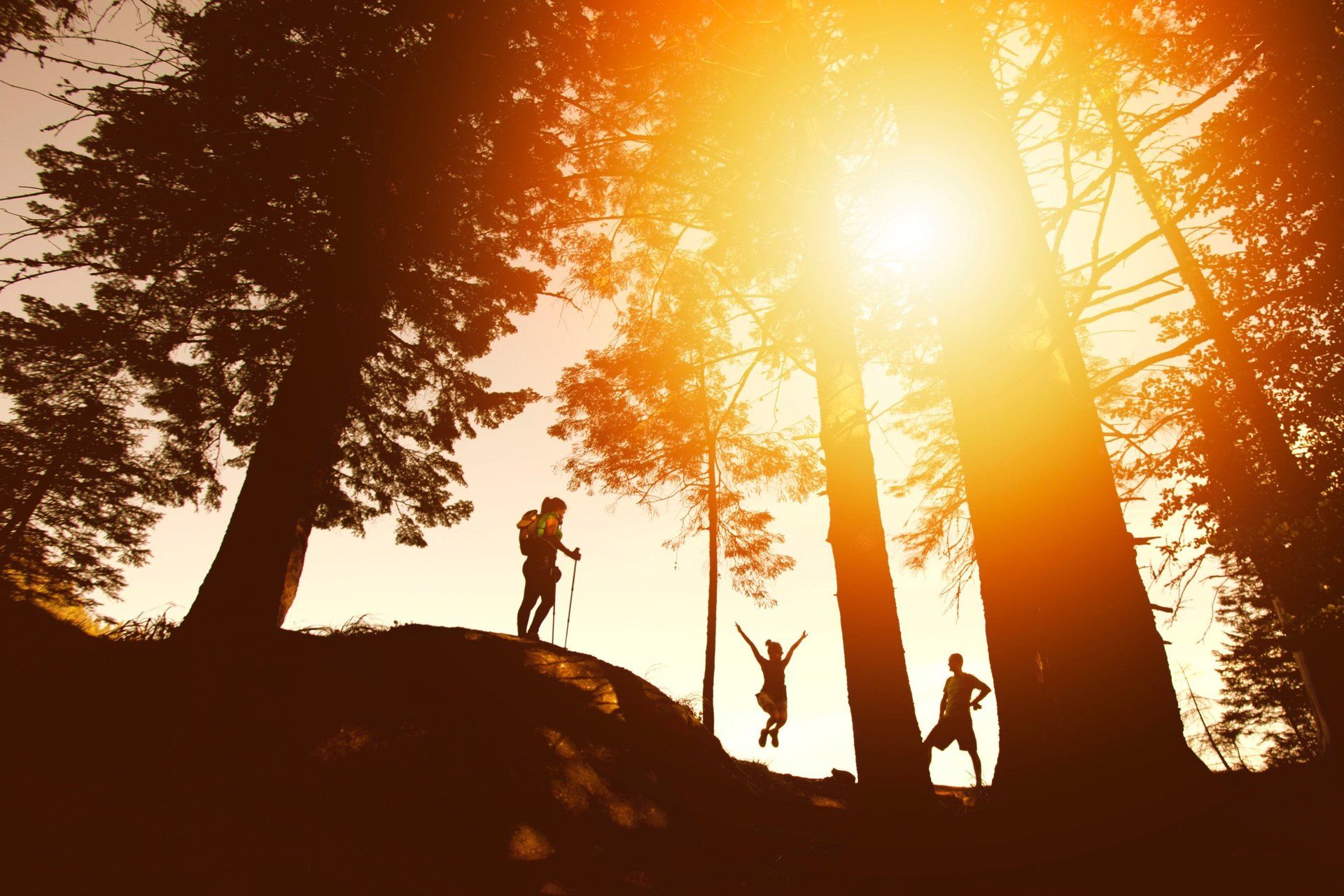 A group of people are standing on top of a hill in the woods at sunset.