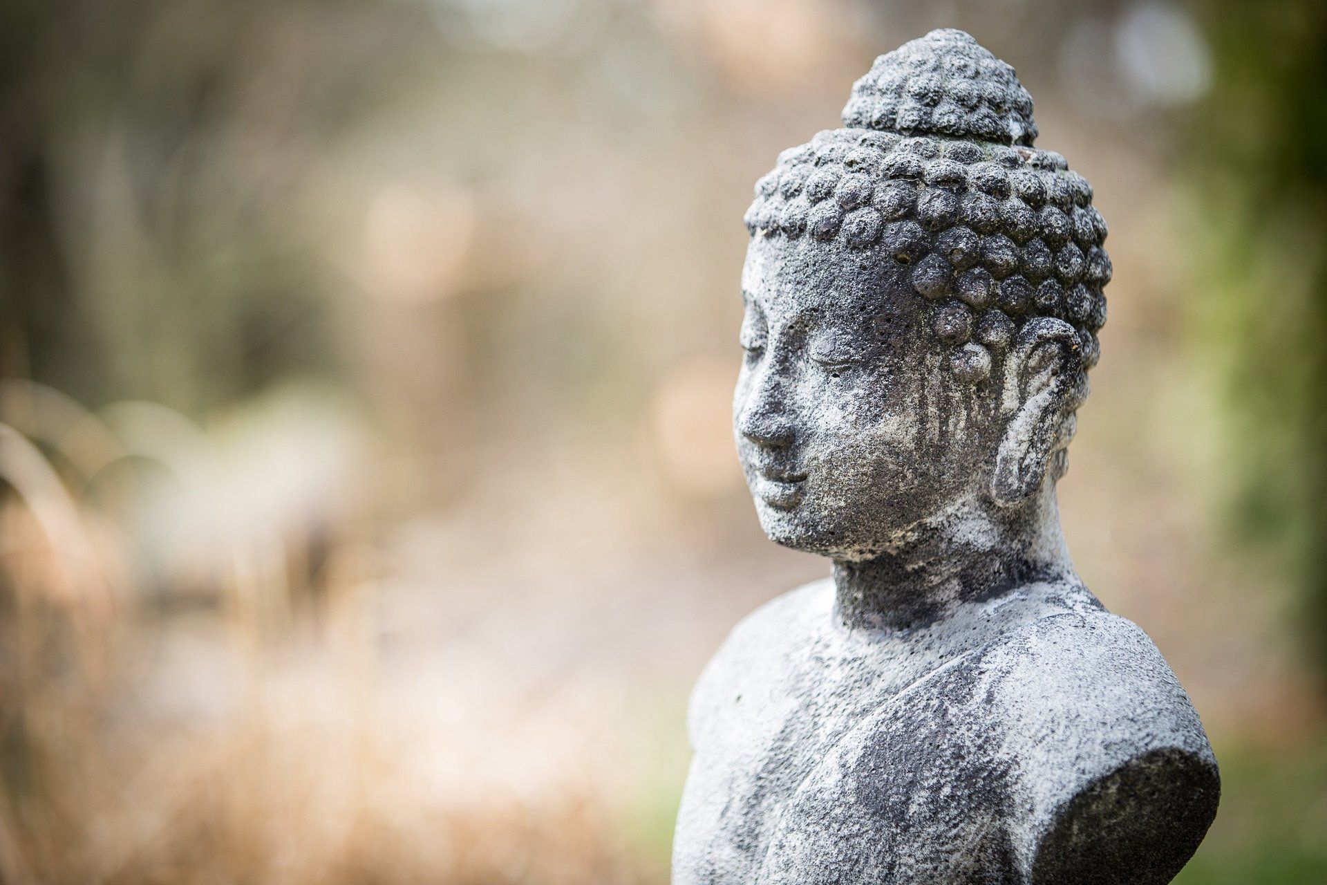 Statue of Buddha