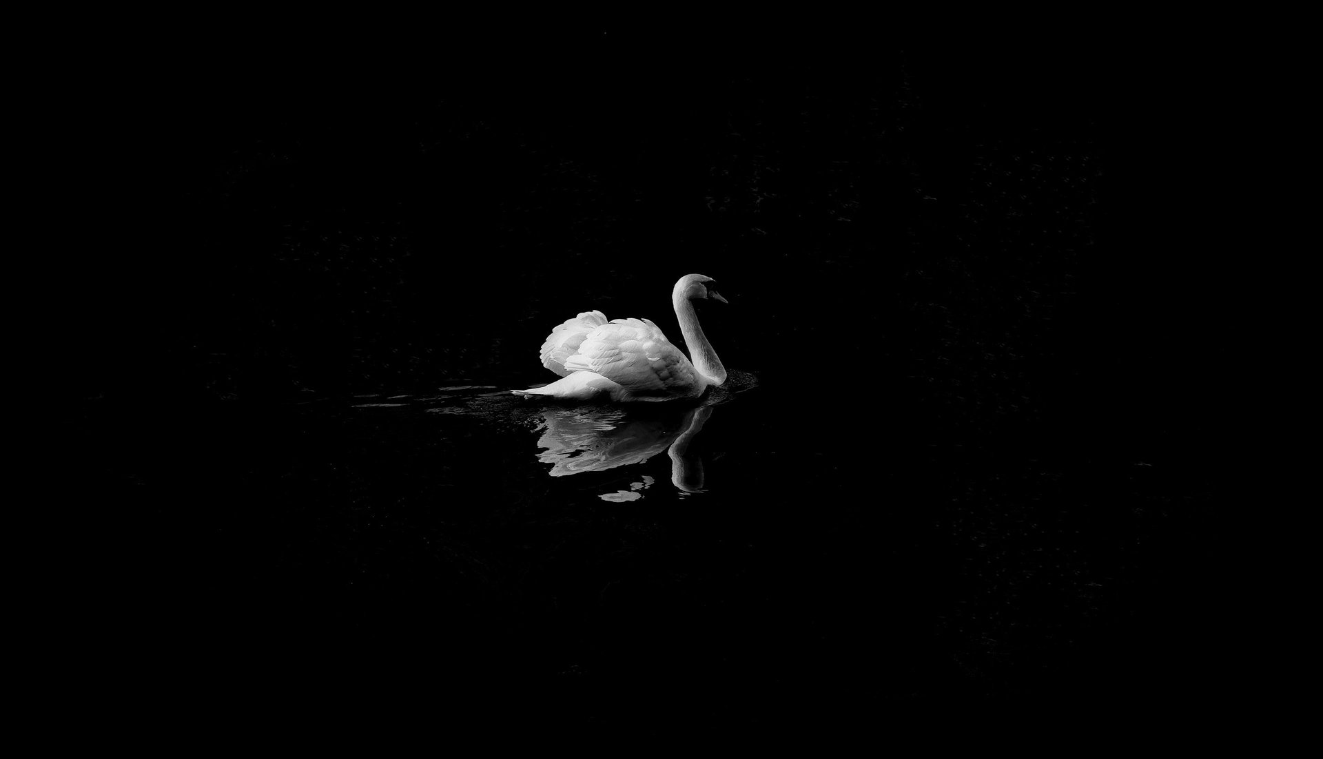 Grief and Me