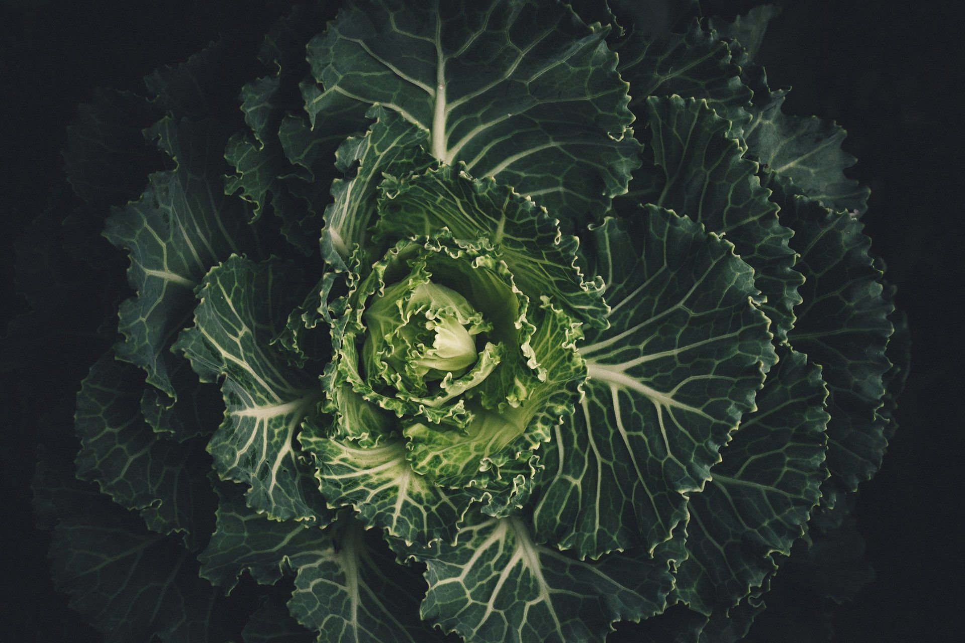 Kale is high in zinc, a known DHT inhibitor