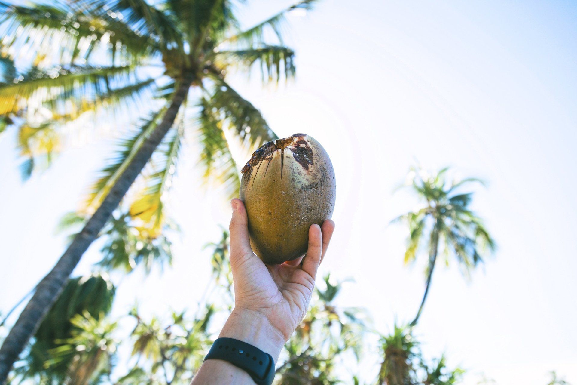 holding up coconut to sky