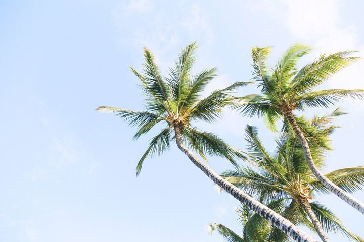 Coconut for a healthy lifestyle