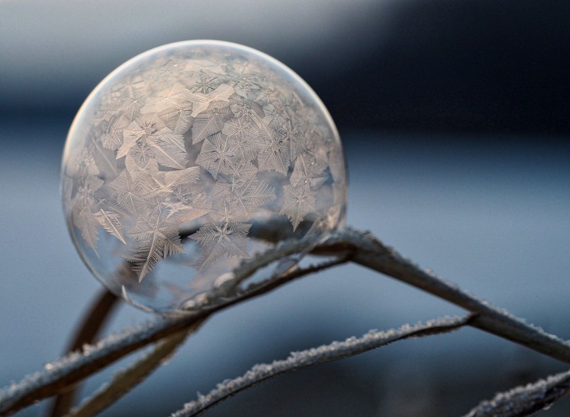 A frozen soap bubble is sitting on a branch covered in frost.